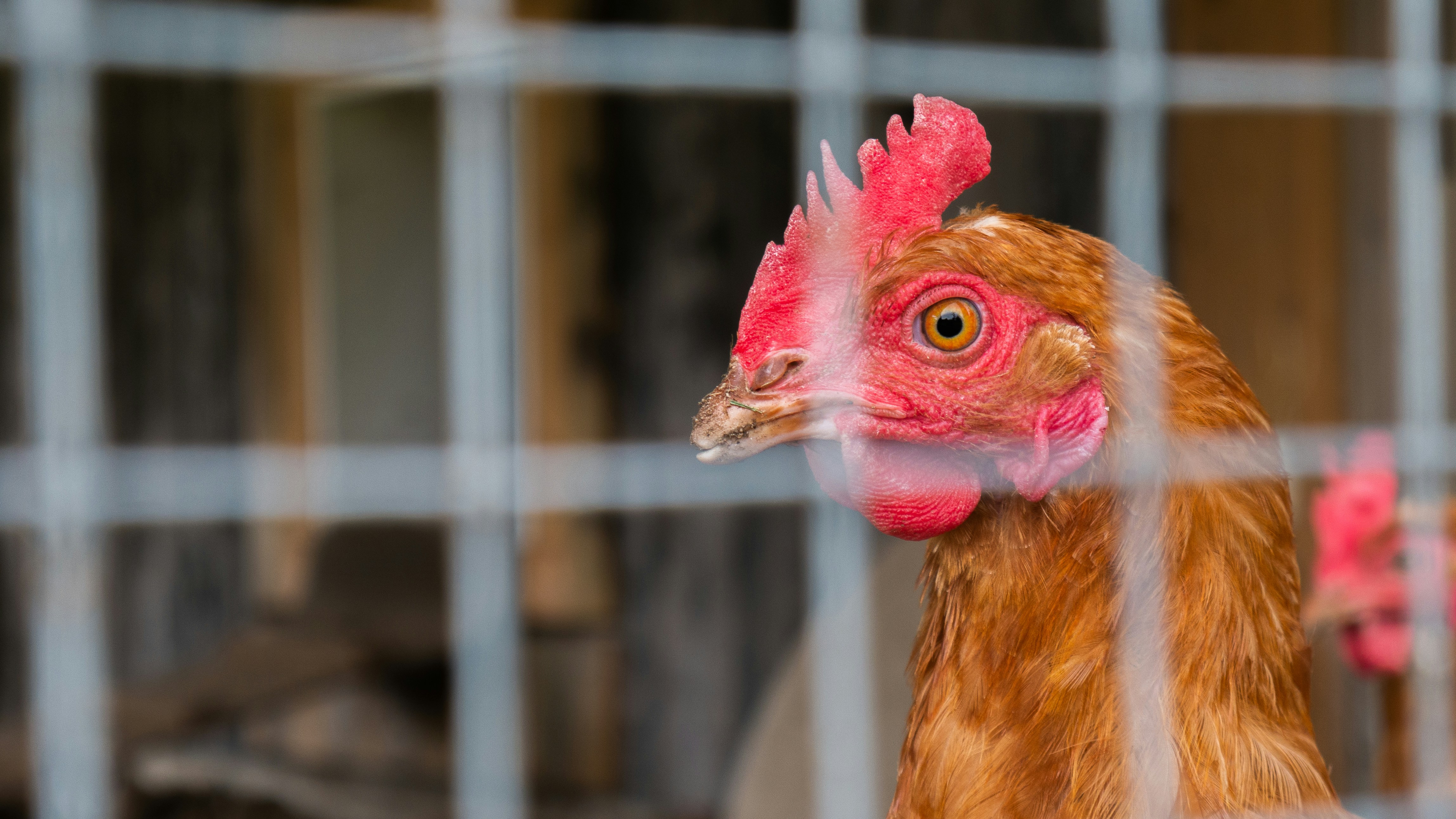 Photo by brittblooms