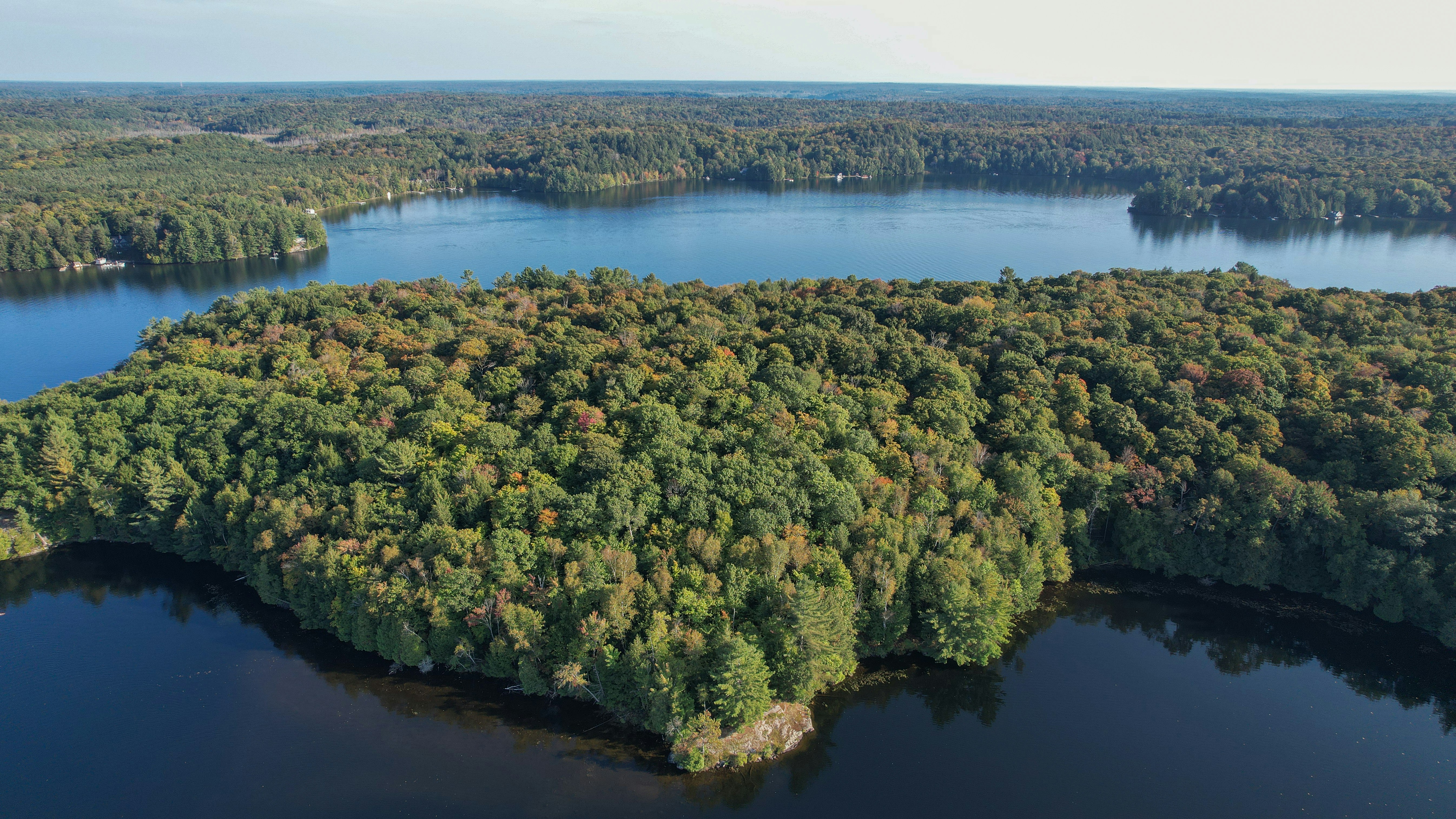 Photo by brittblooms