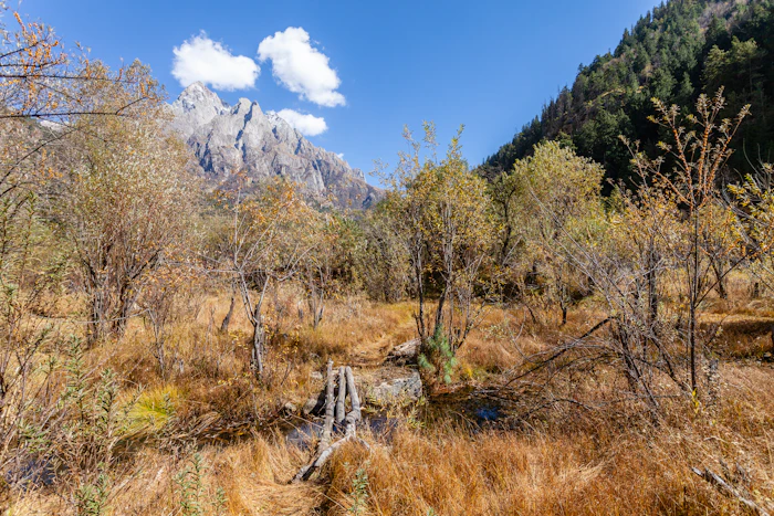 Baspa river valley trail