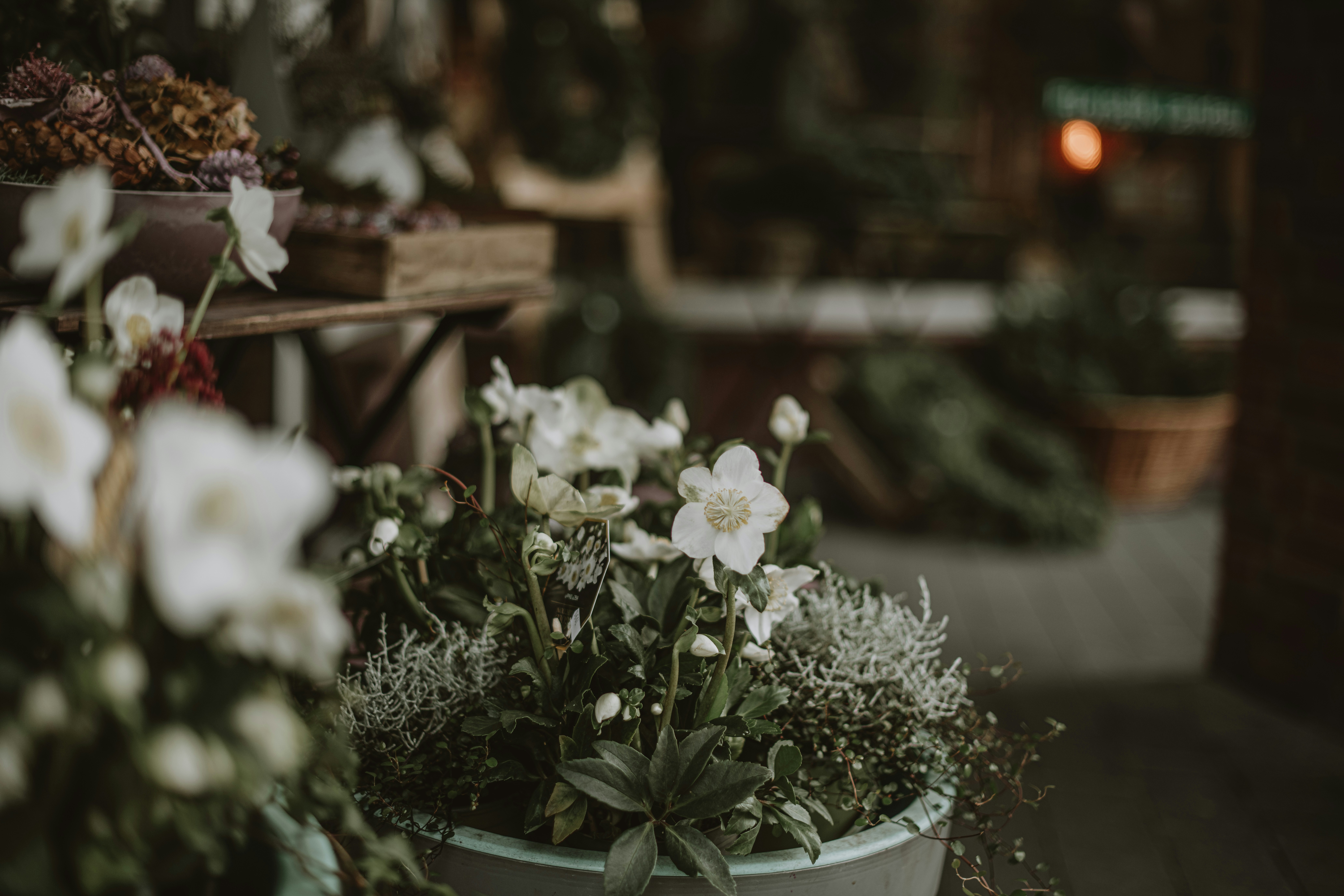 Photo by anitaaustvika