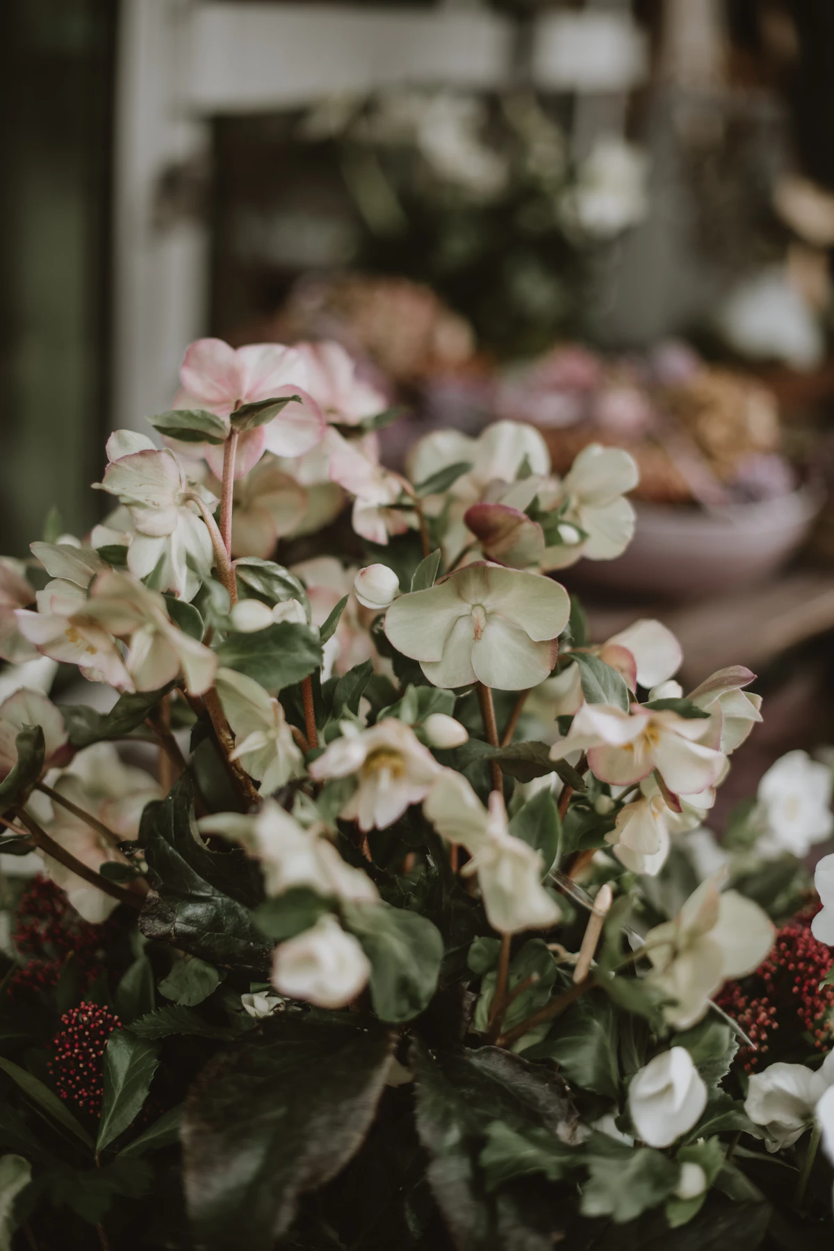 Everyday Mixed Blooms