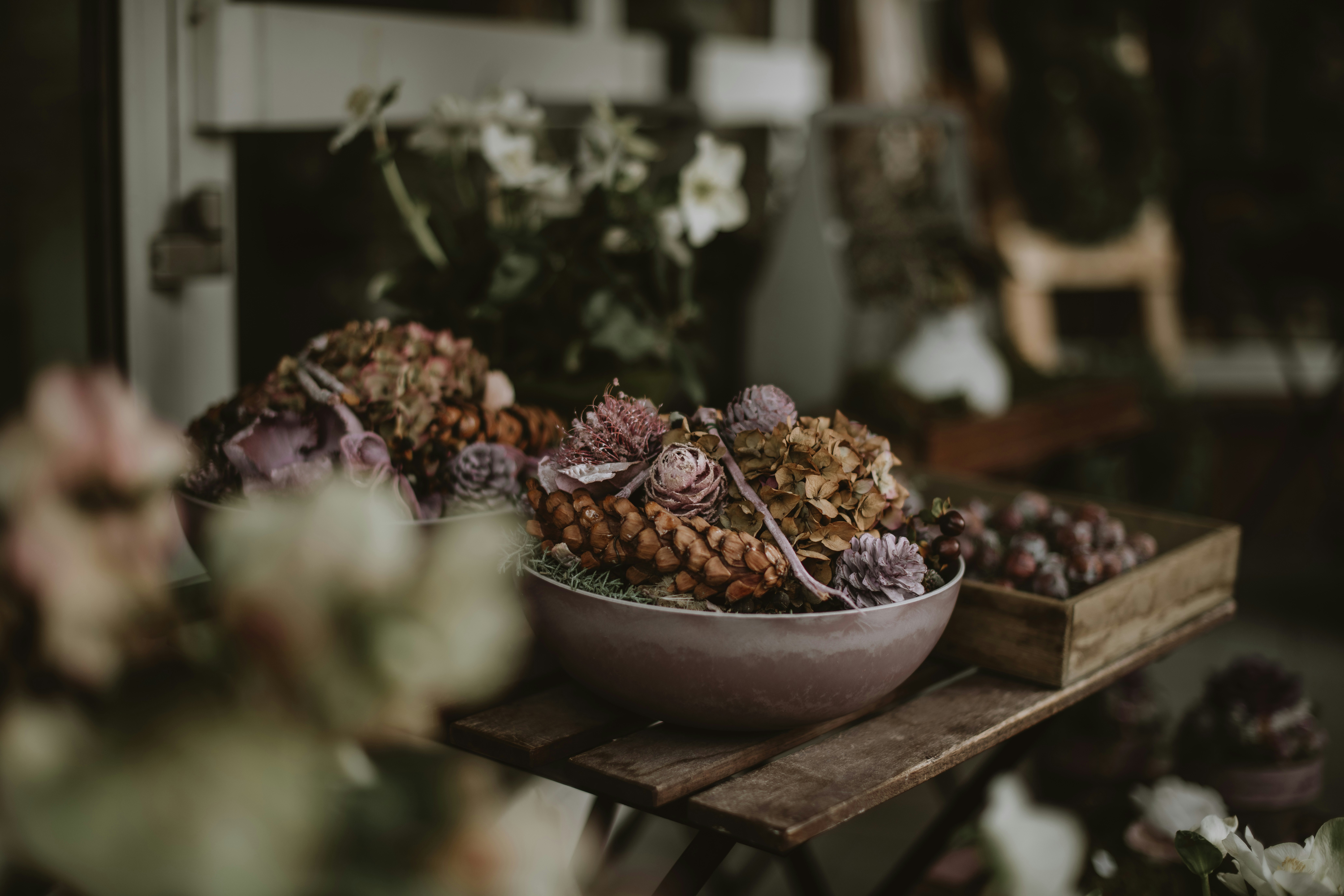 Photo by anitaaustvika