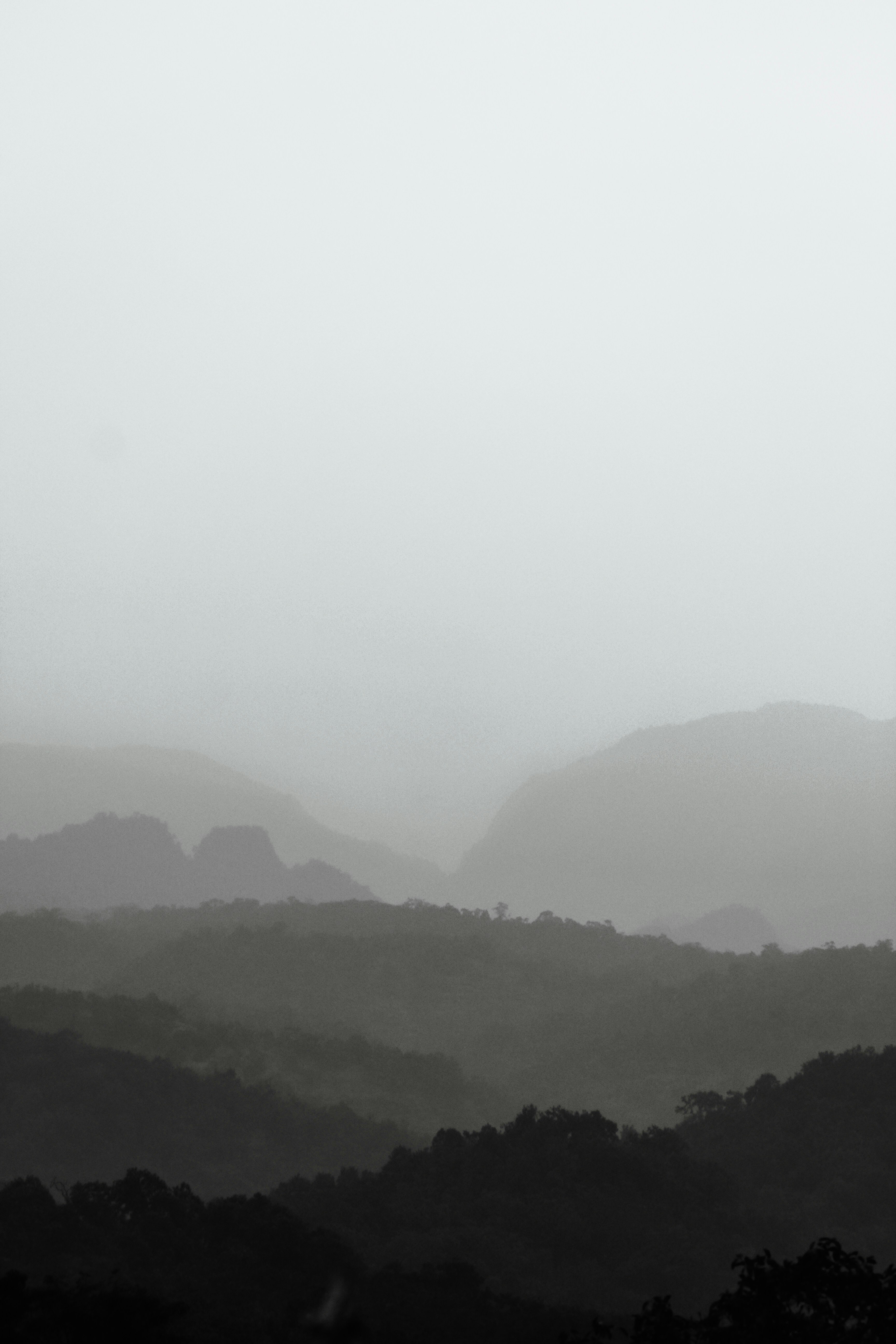 Photo by lakshya2001