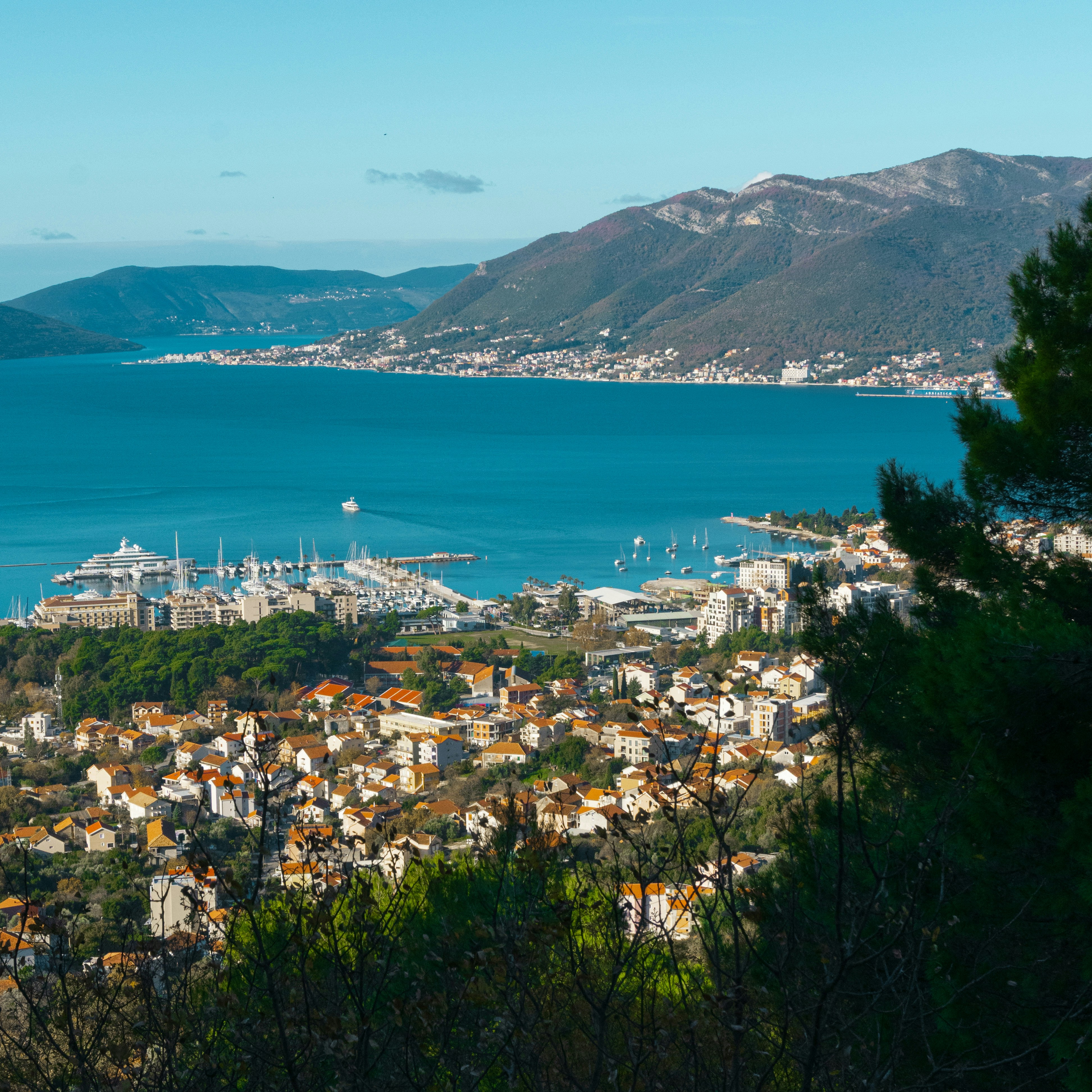 Photo by stepanseverinoff