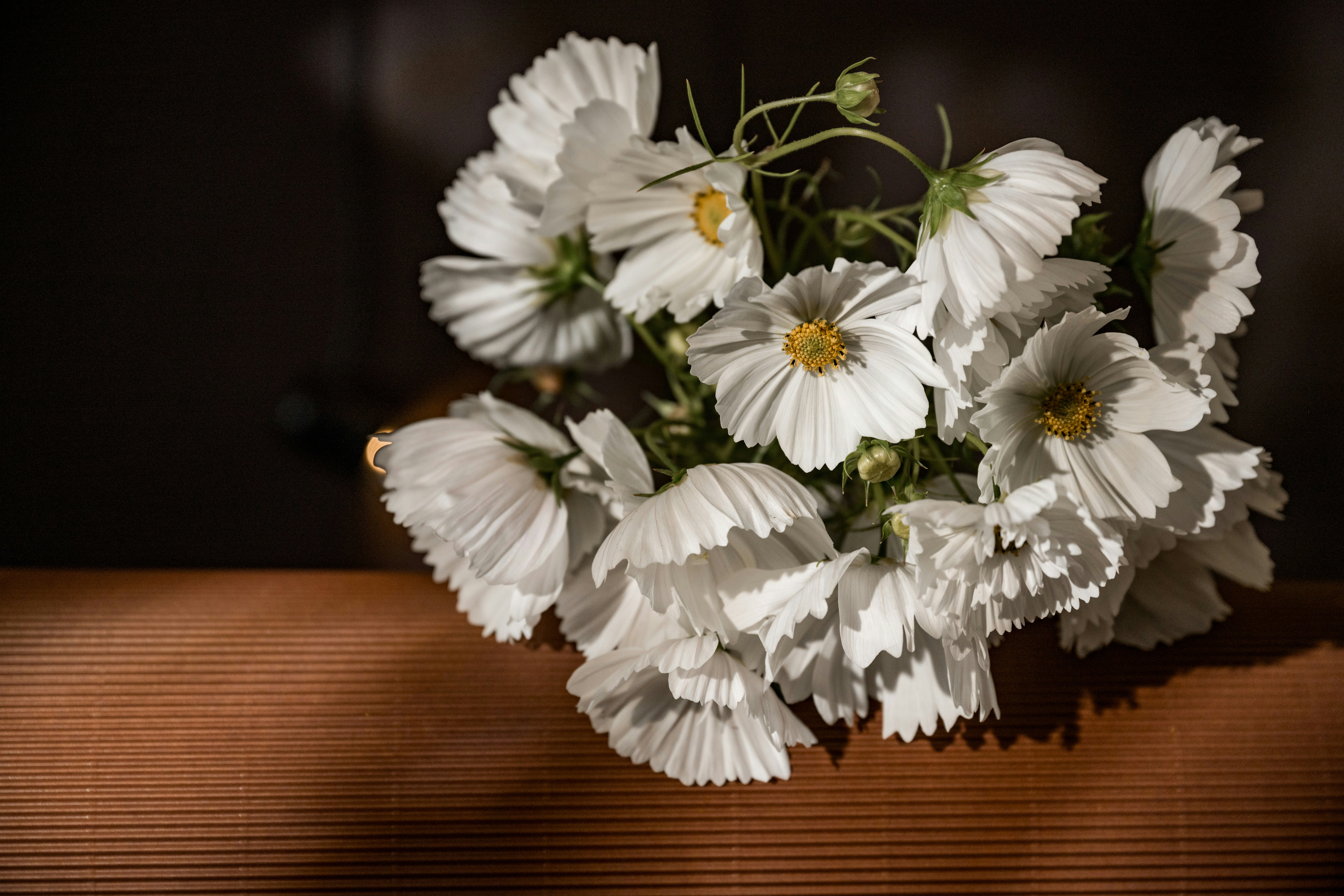 Photo by anitaaustvika