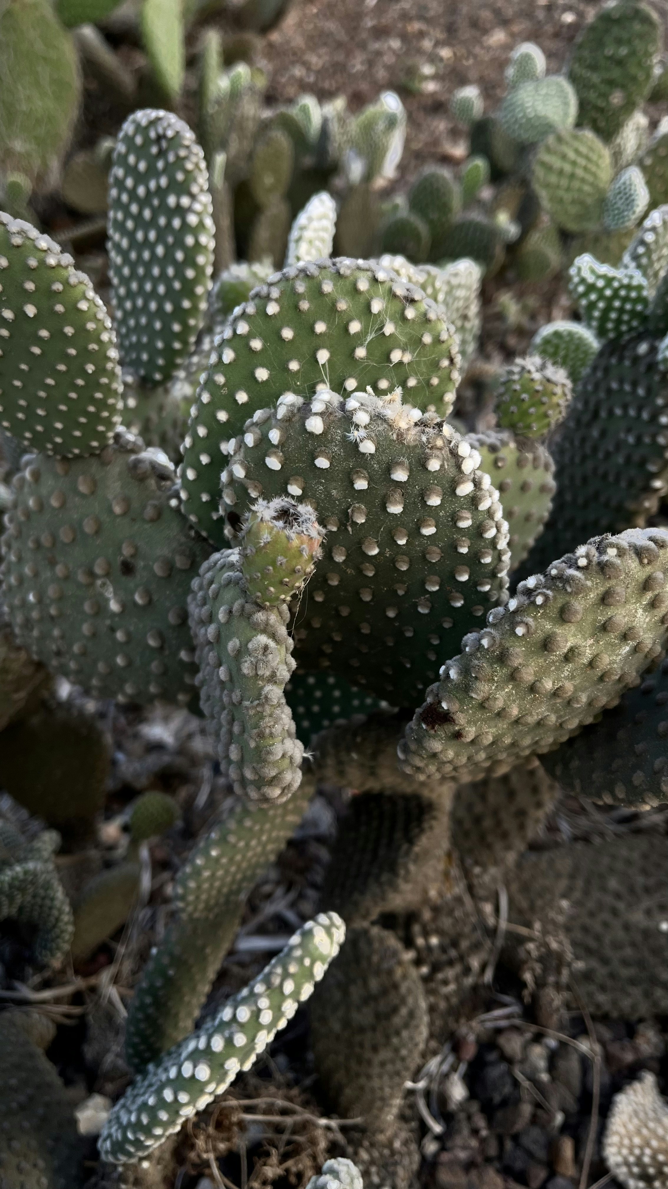 Photo by maria_bora_bora