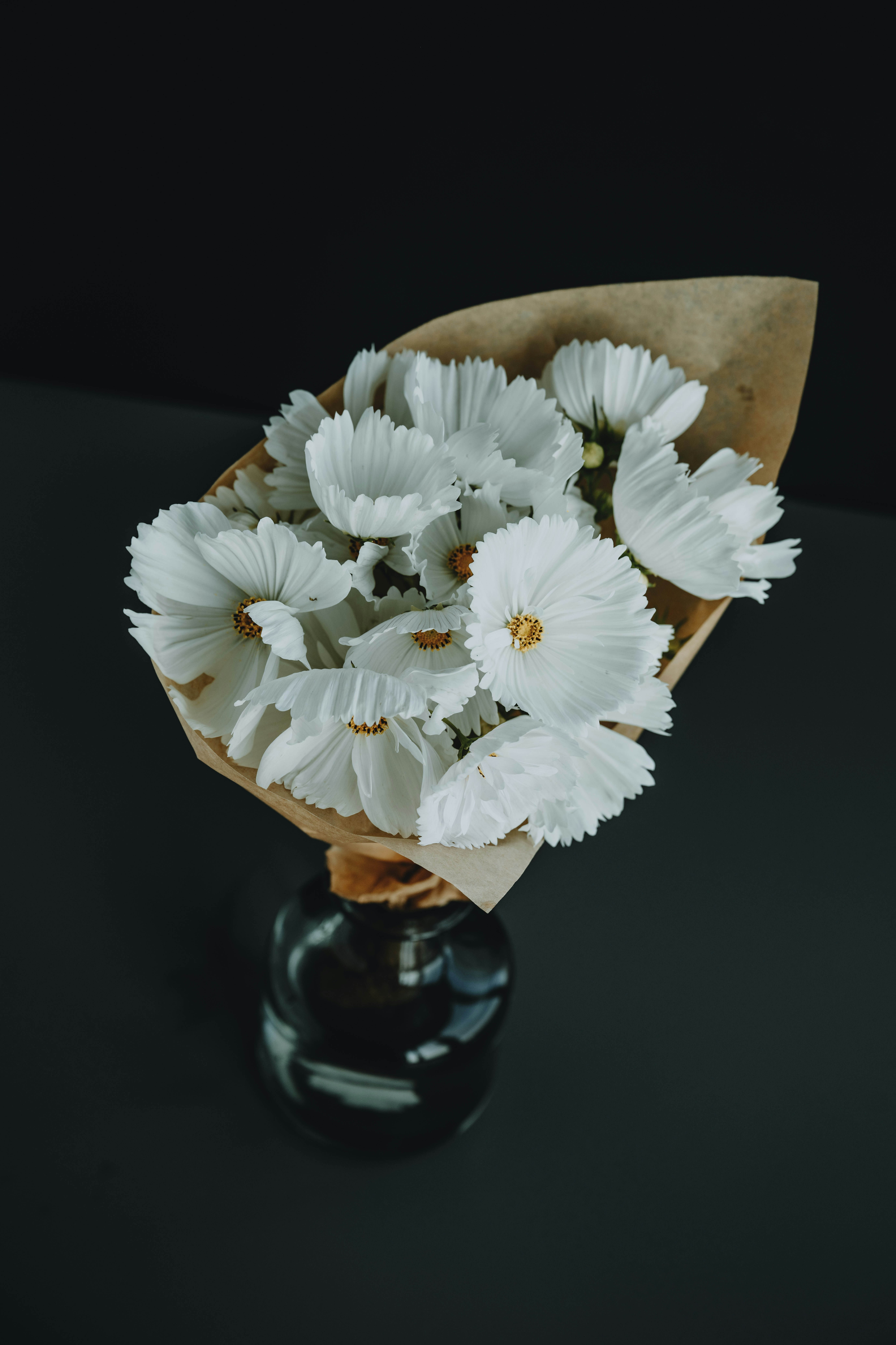 花瓶に棲んだ白い花束の写真 – Unsplashの緑の無料画像
