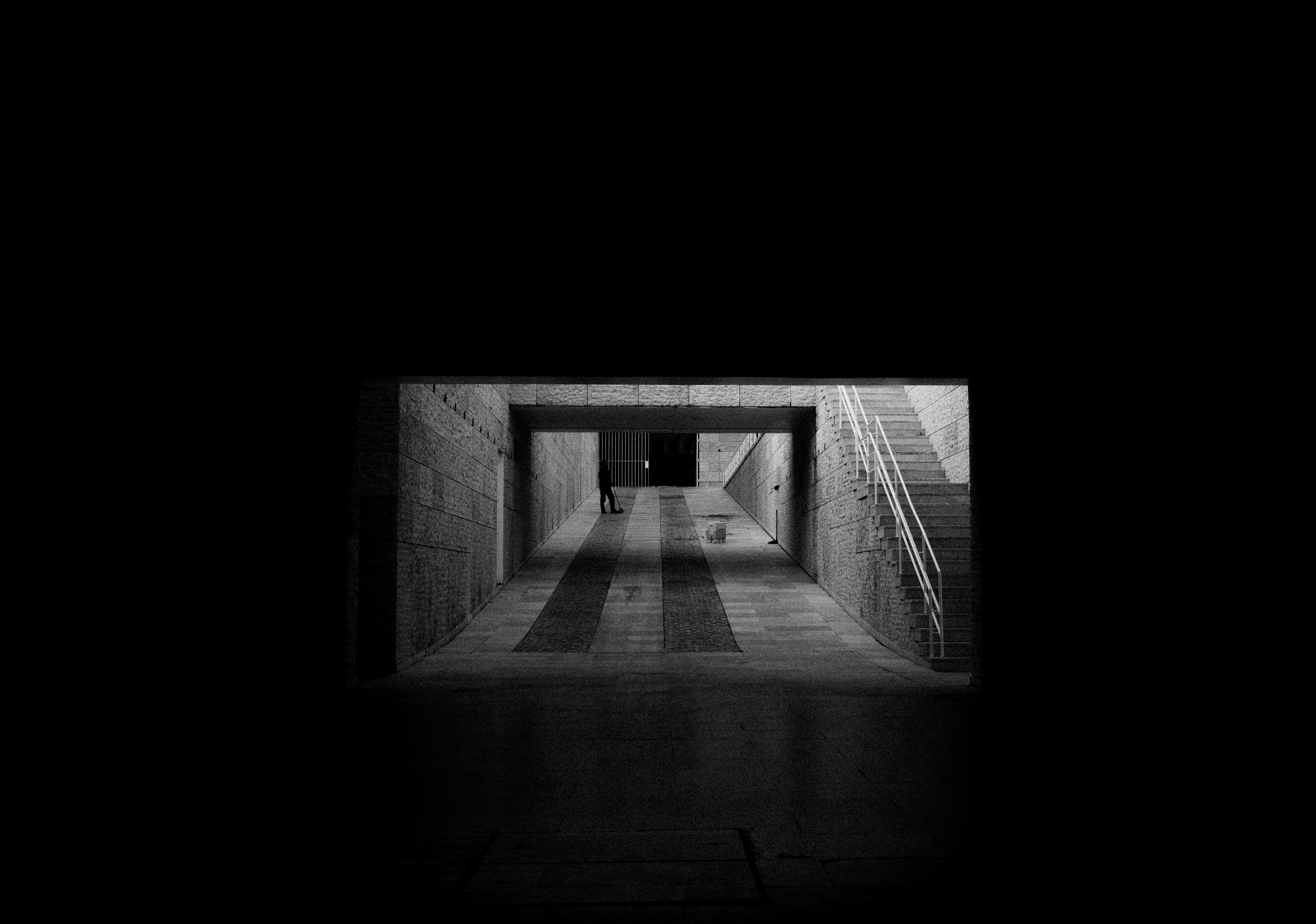 새로운 사랑을 의미하는 꽃말, 어떤 꽃들이 있을까요?