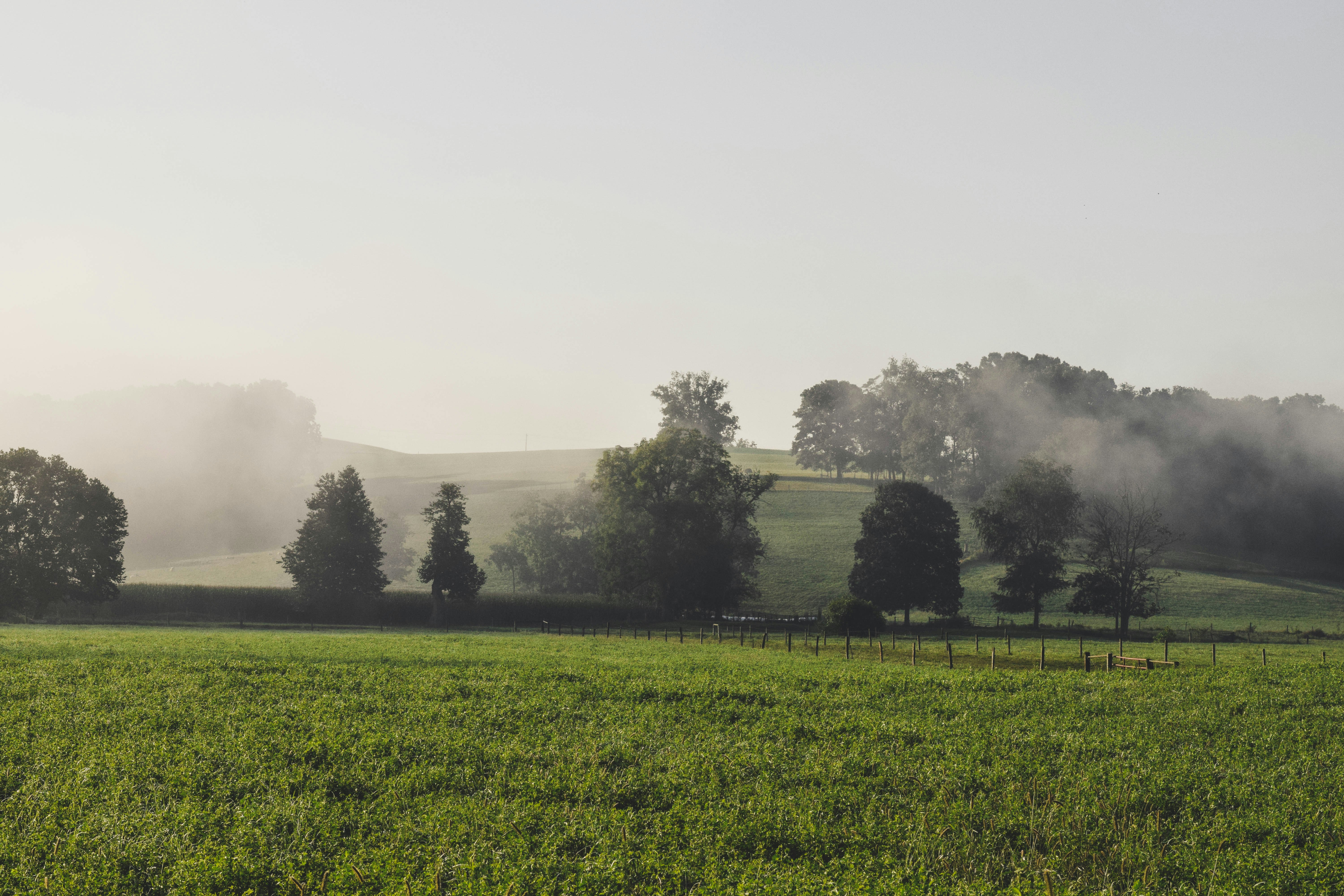 Photo by marvinyoder