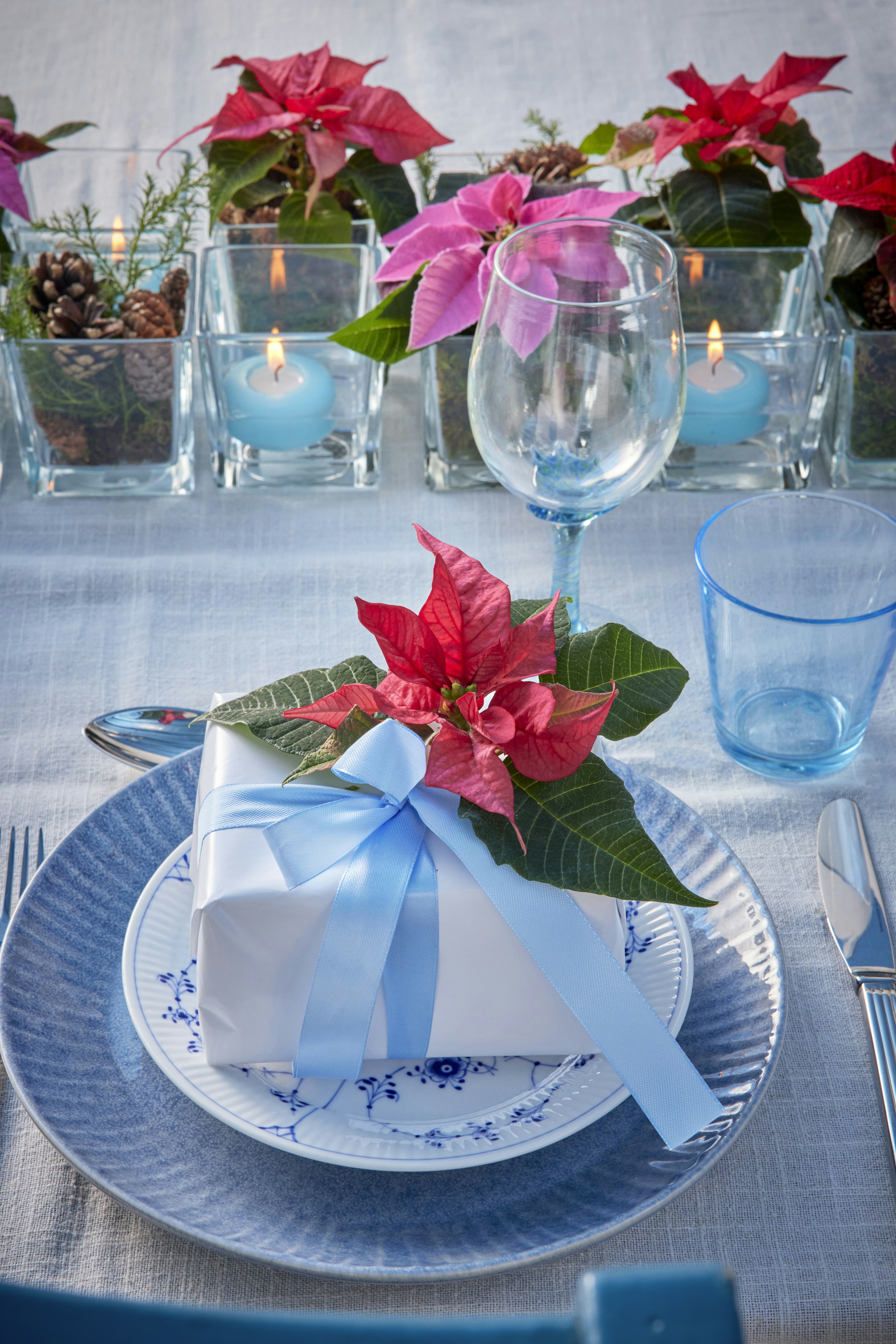 Photo by shaylabruins