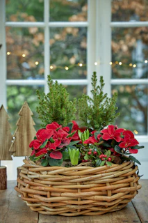 A basket filled with red flowers sitting on top of a wooden table
