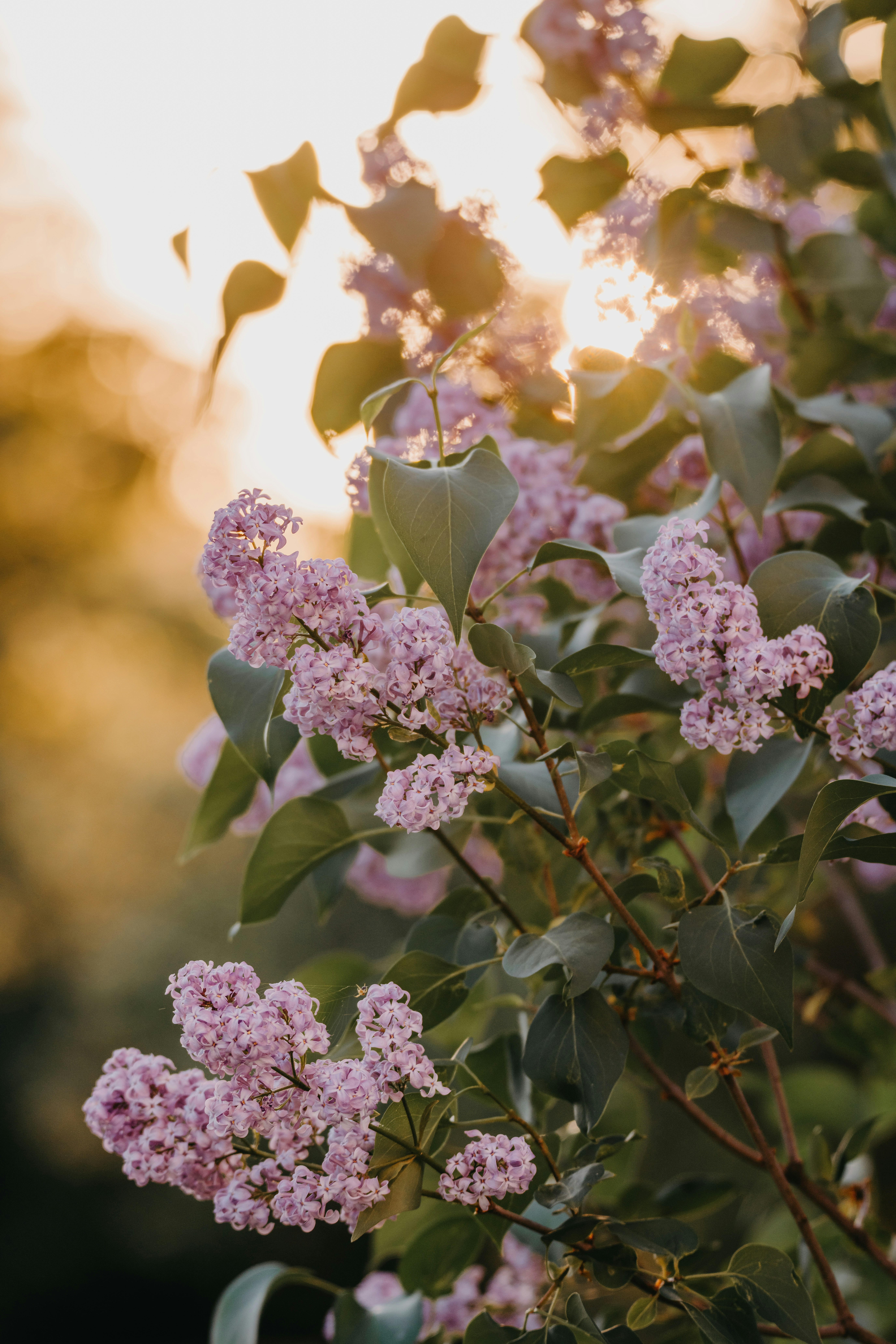 Photo by anitaaustvika