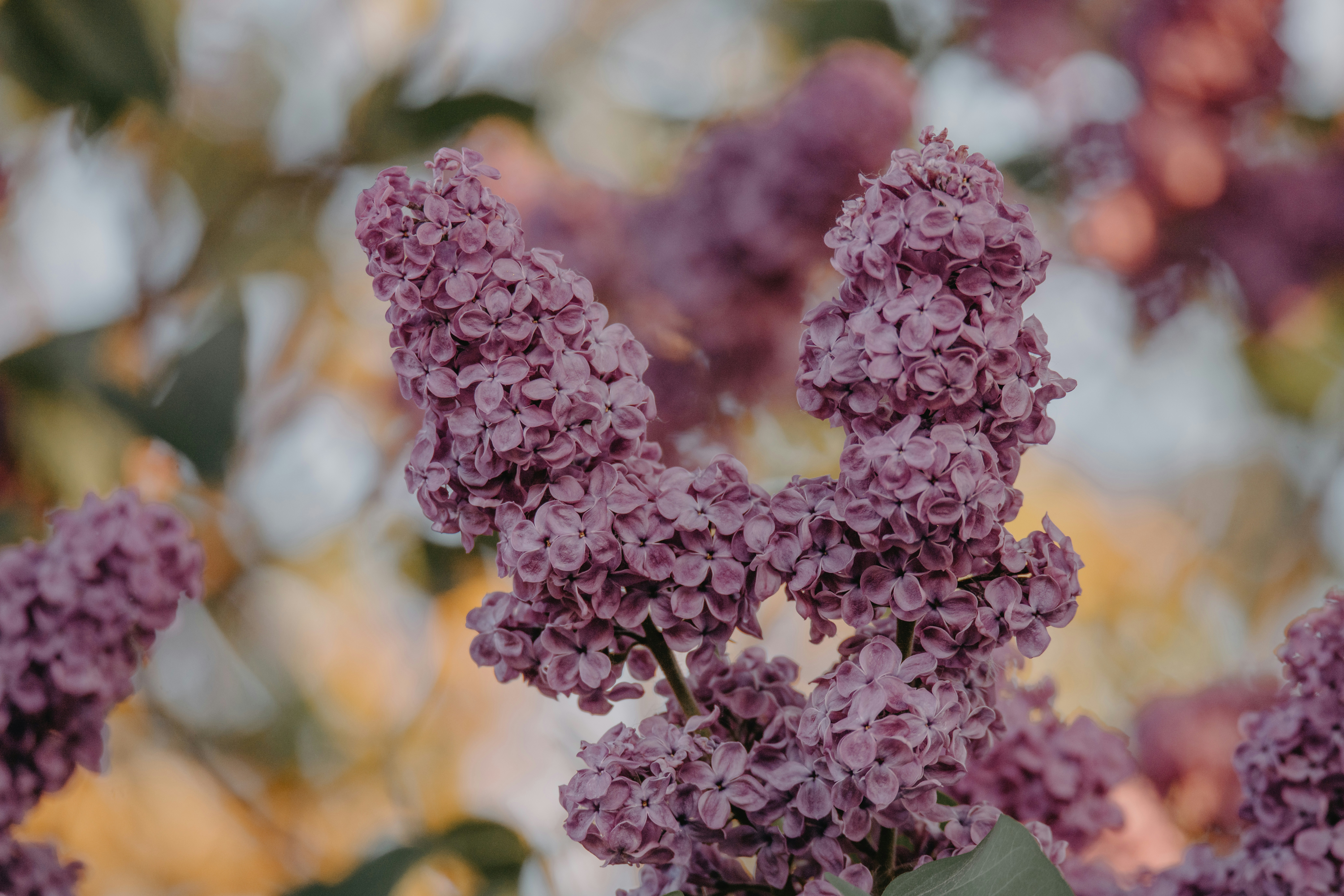 Photo by anitaaustvika