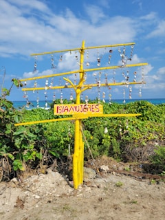 A sign that is on the side of a road
