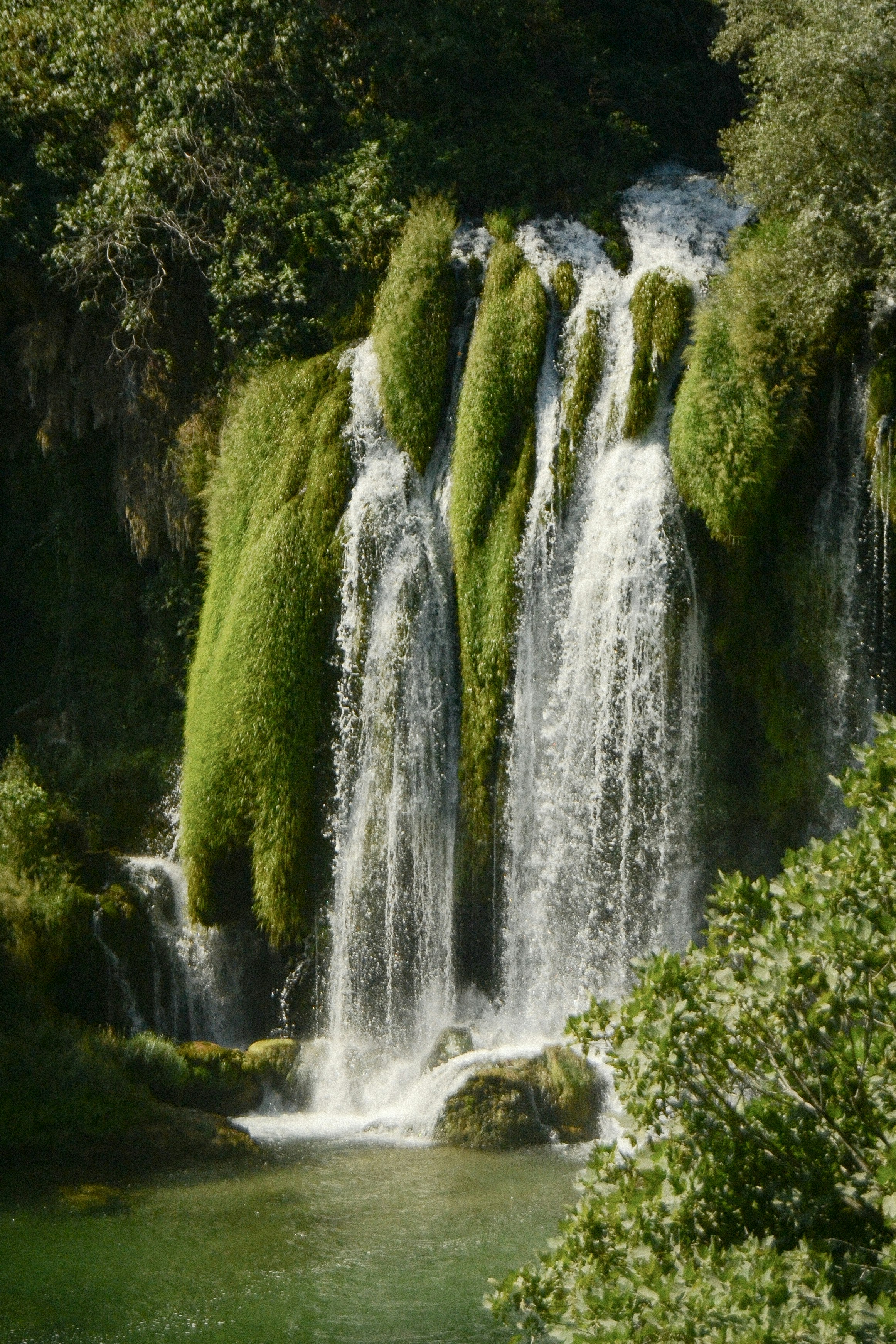 Photo by fratorsello