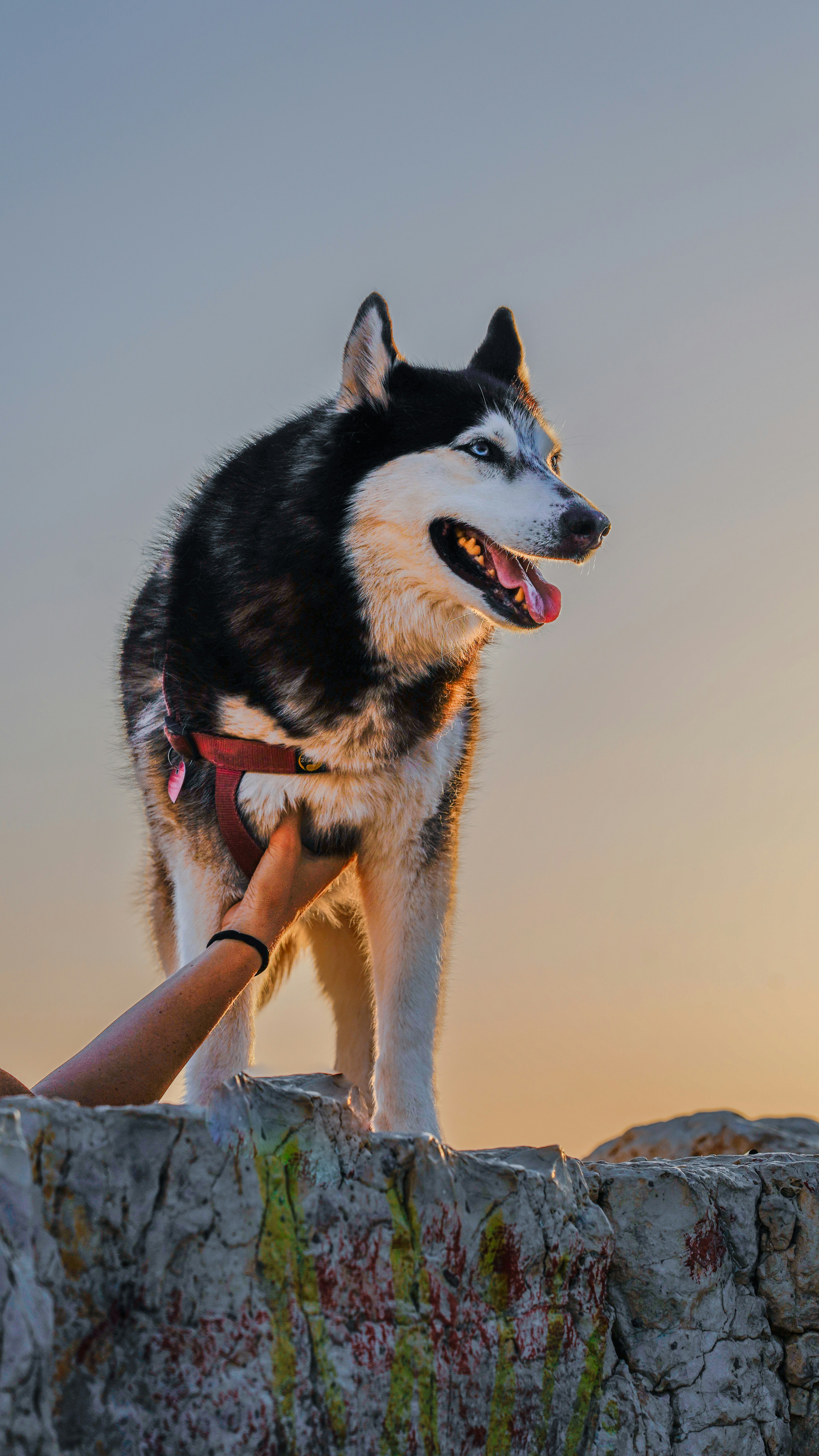 Photo by borisizmaylov