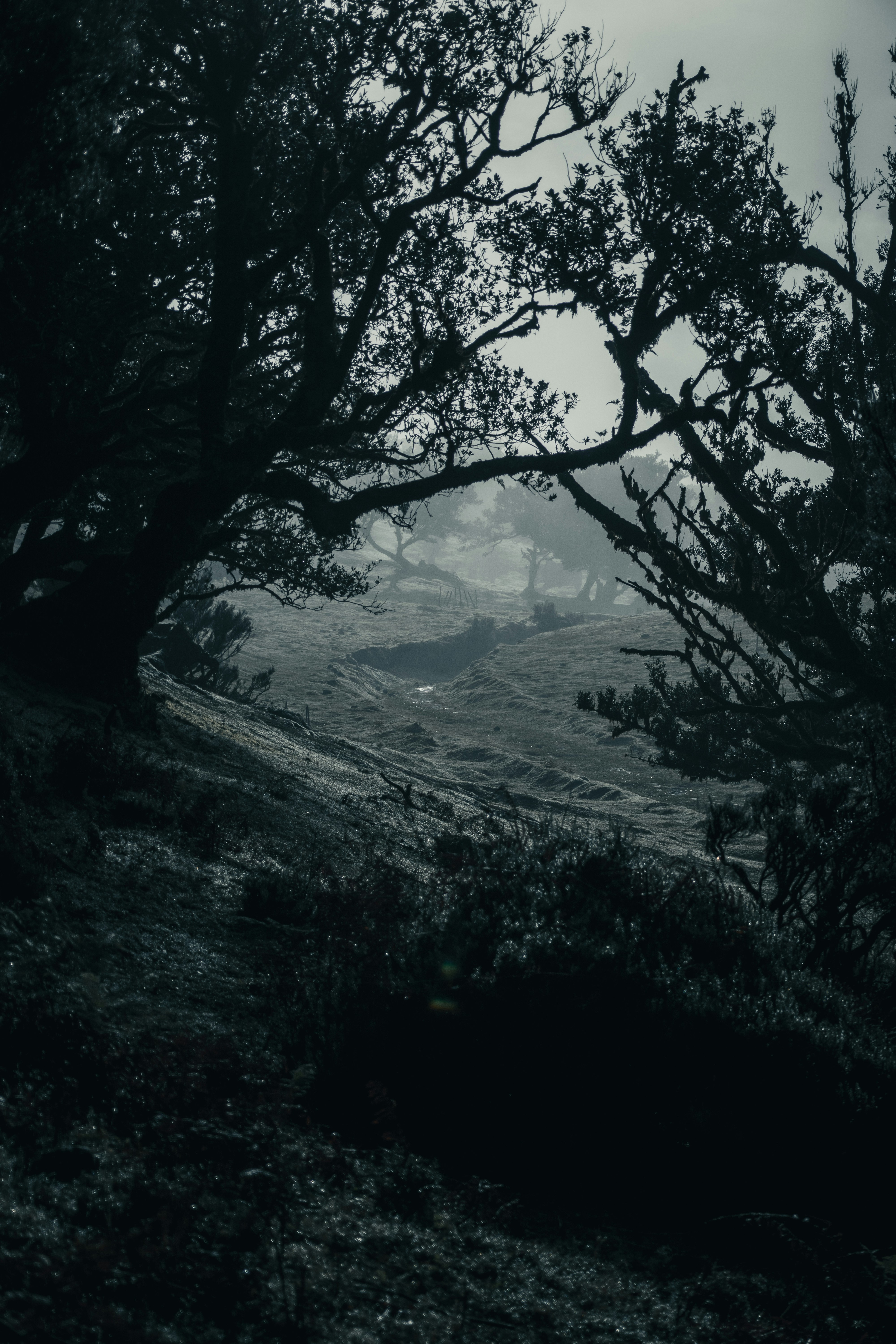 Photo by shanavaro