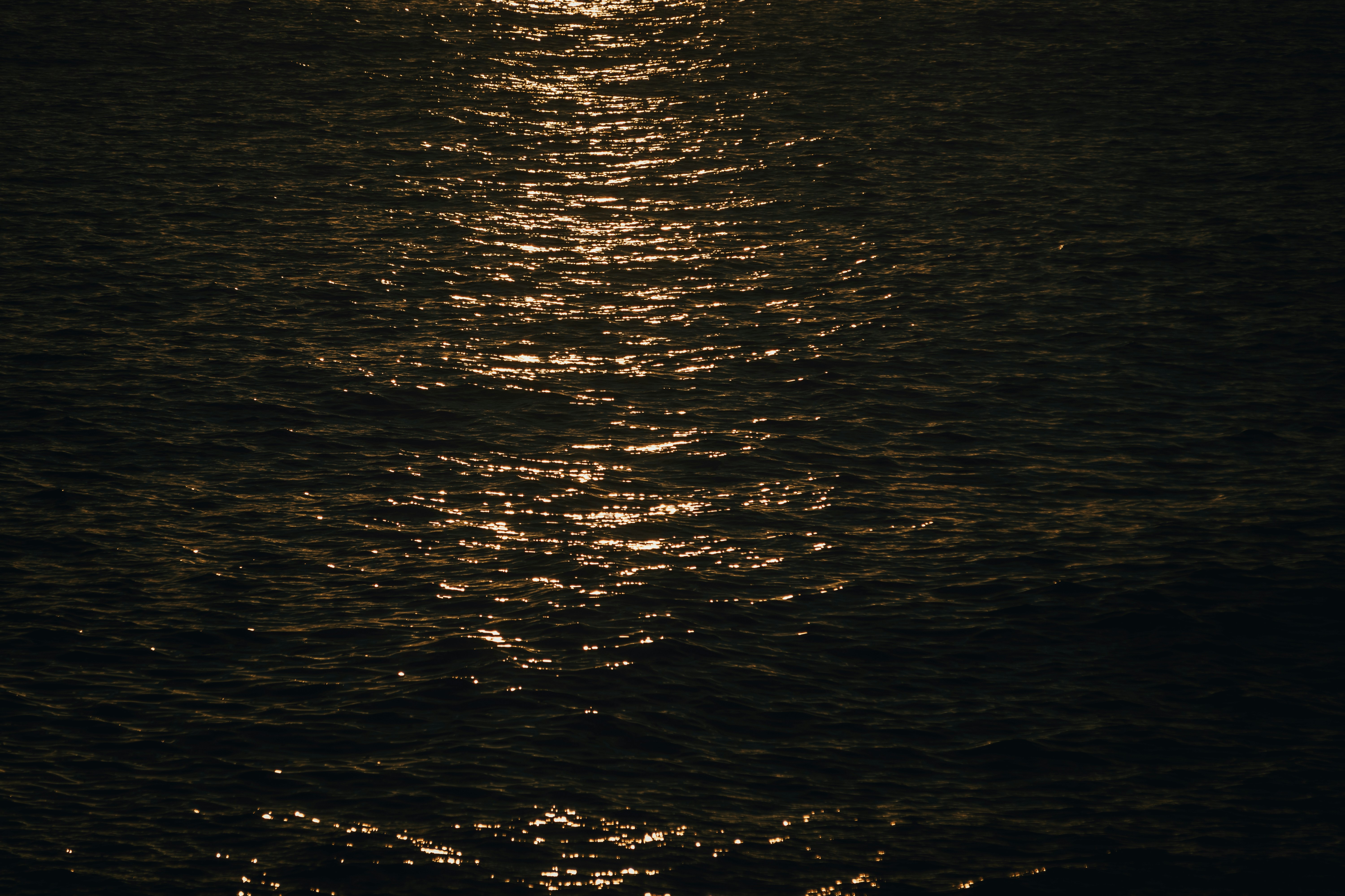 Photo by shanavaro