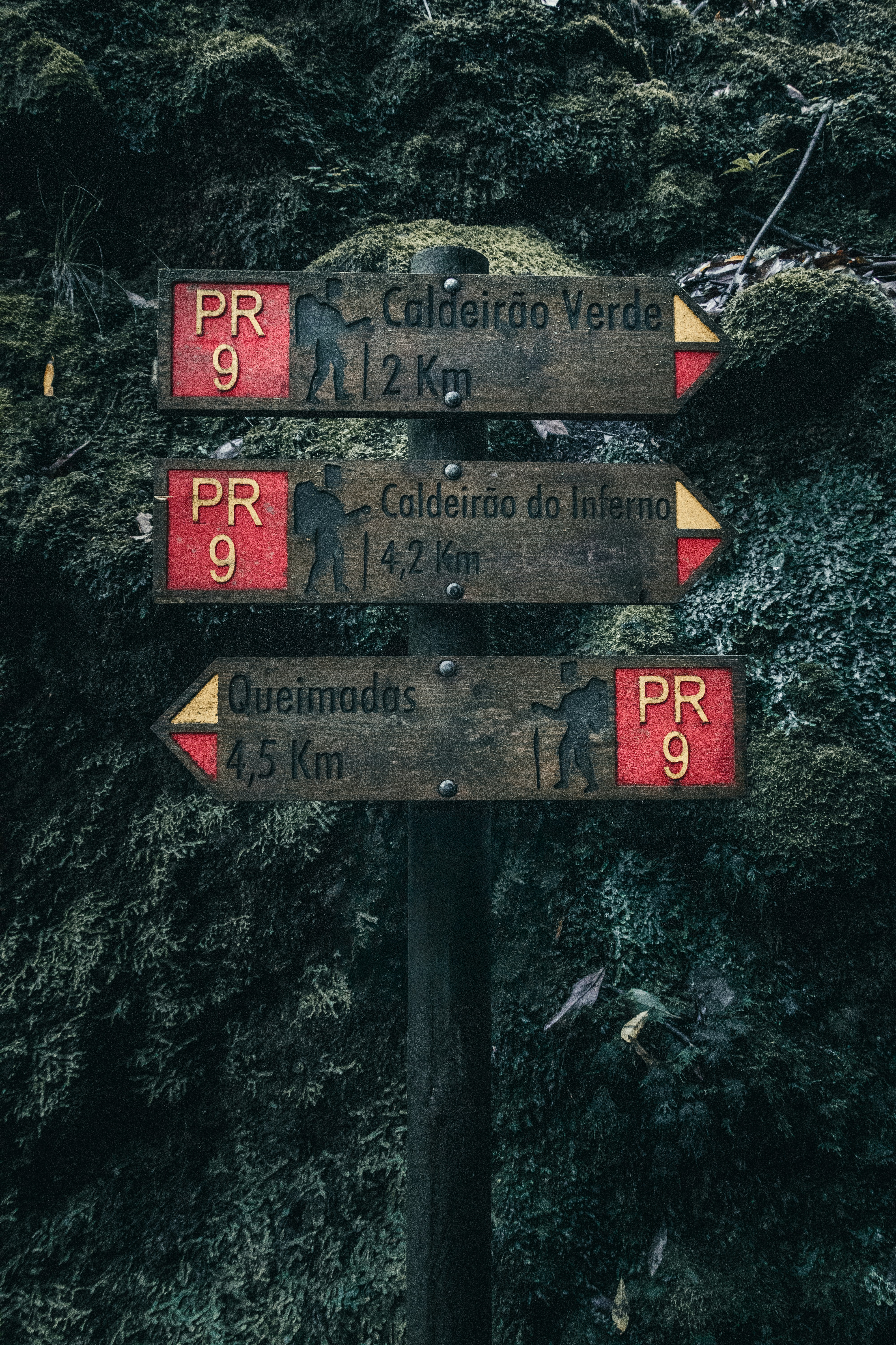 登山スケジュール