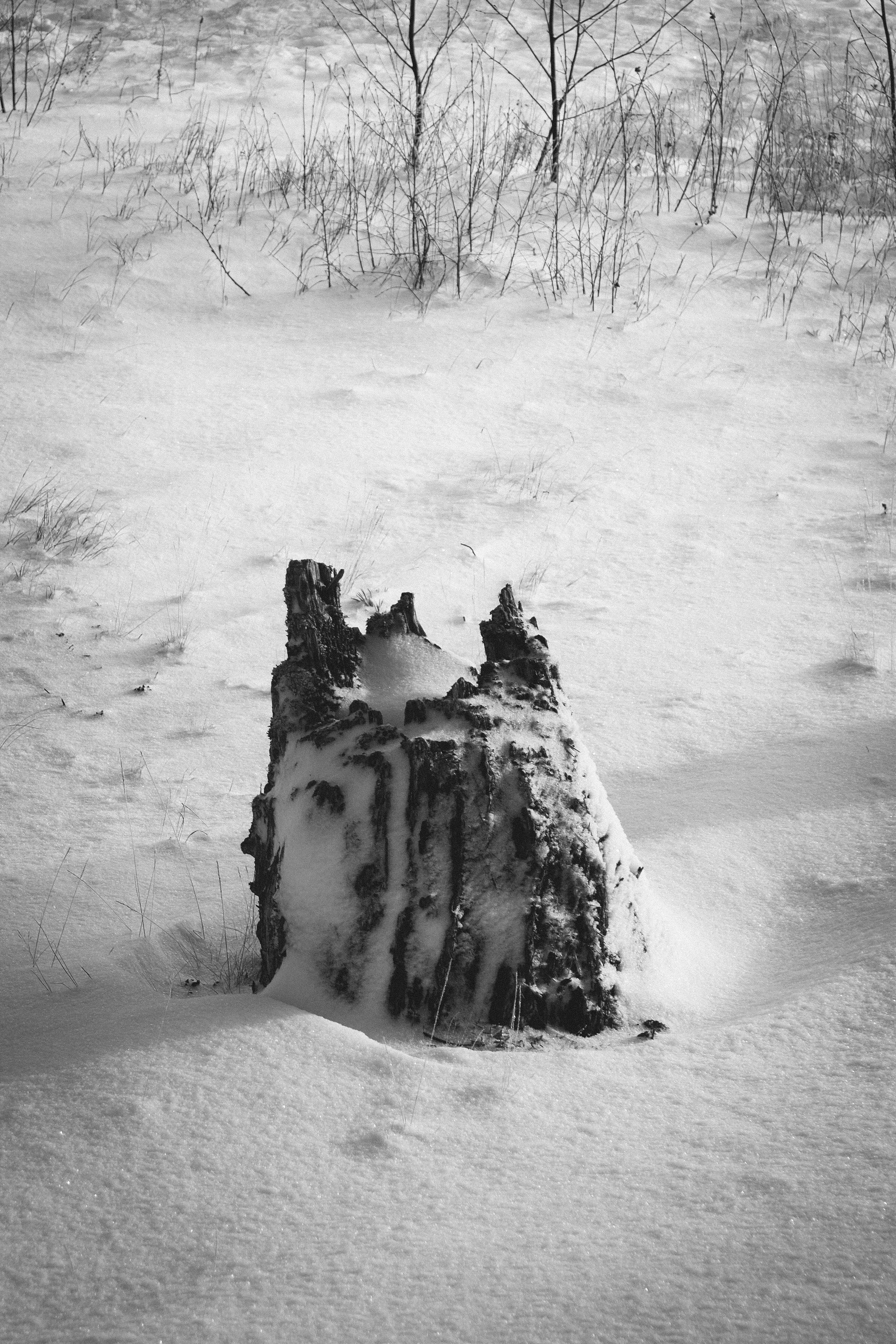 A black and white photo of a tree stump in the snow