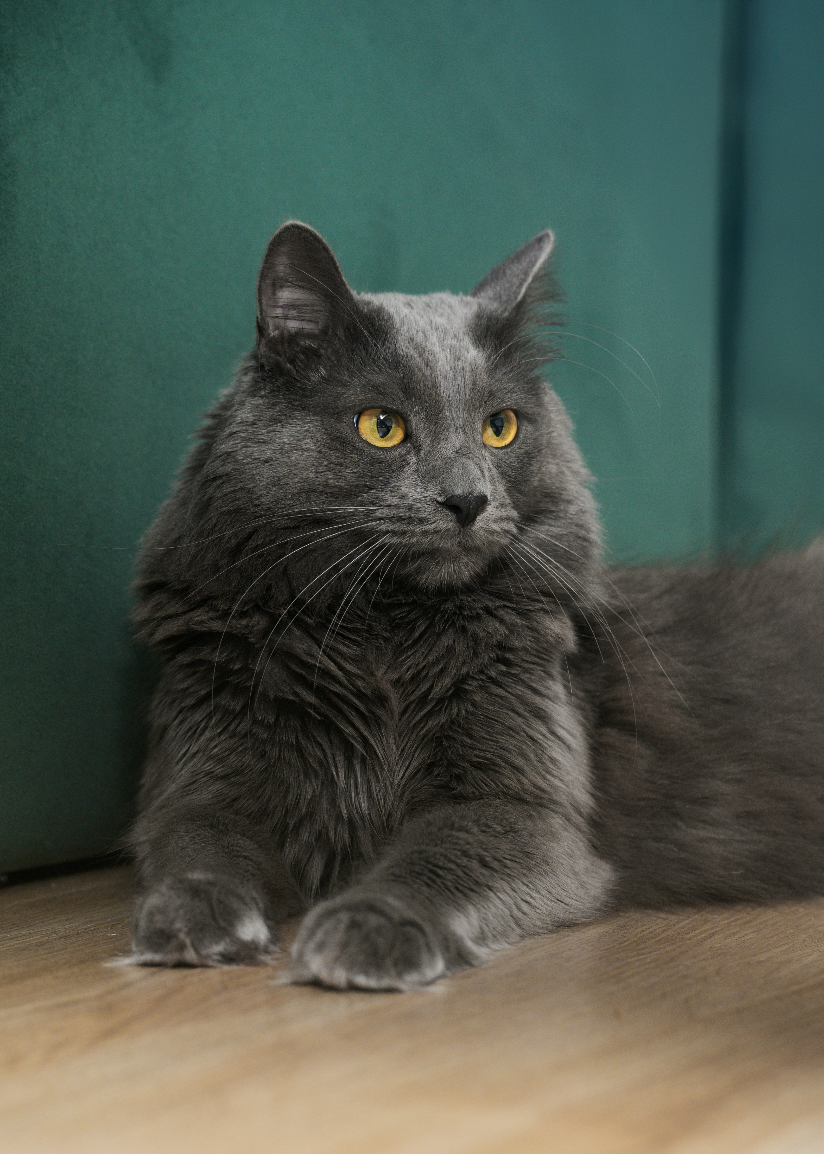 Photo by eugenivy_now