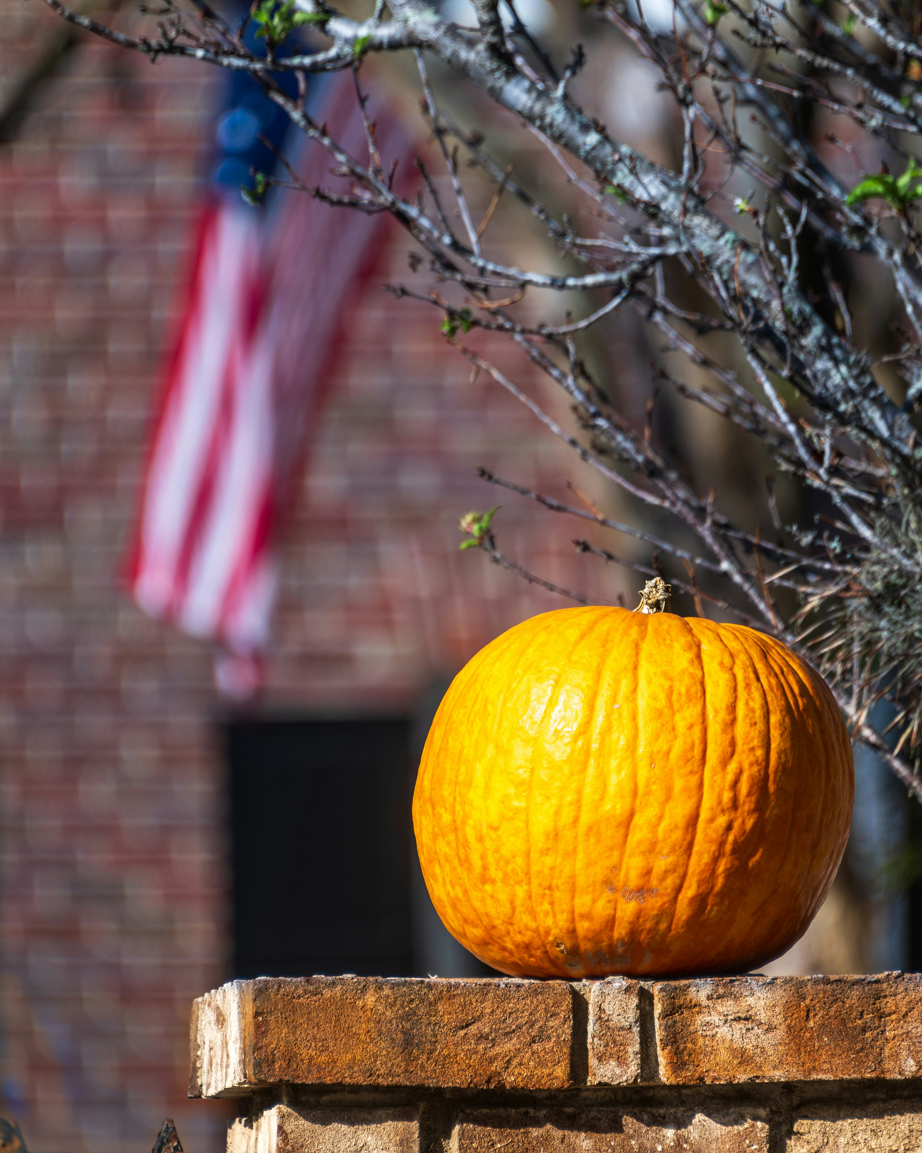 A pumpkin sitting on top of a brick wall