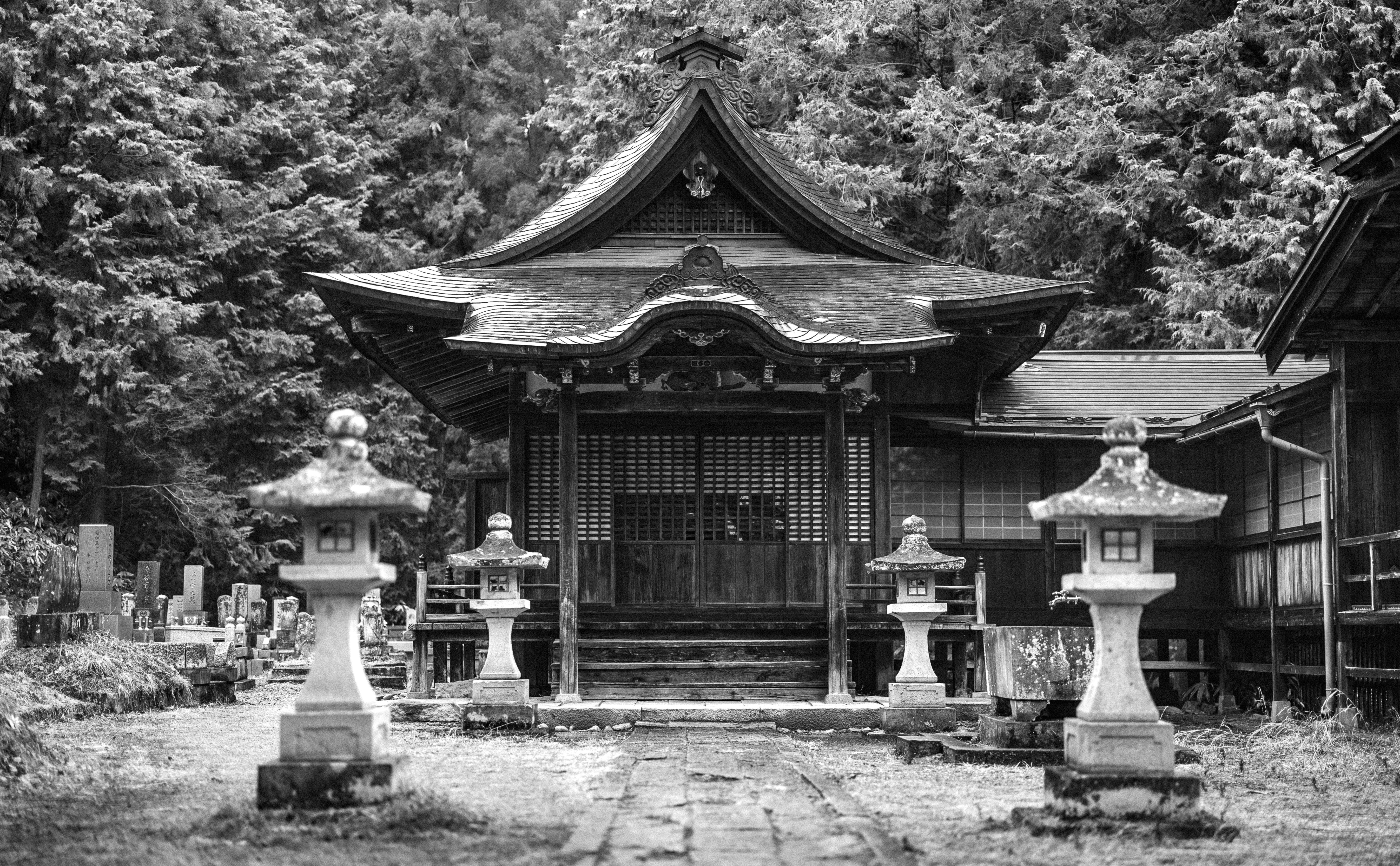 Photo by marekpiwnicki