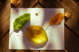 A picture of some leaves on a piece of paper
