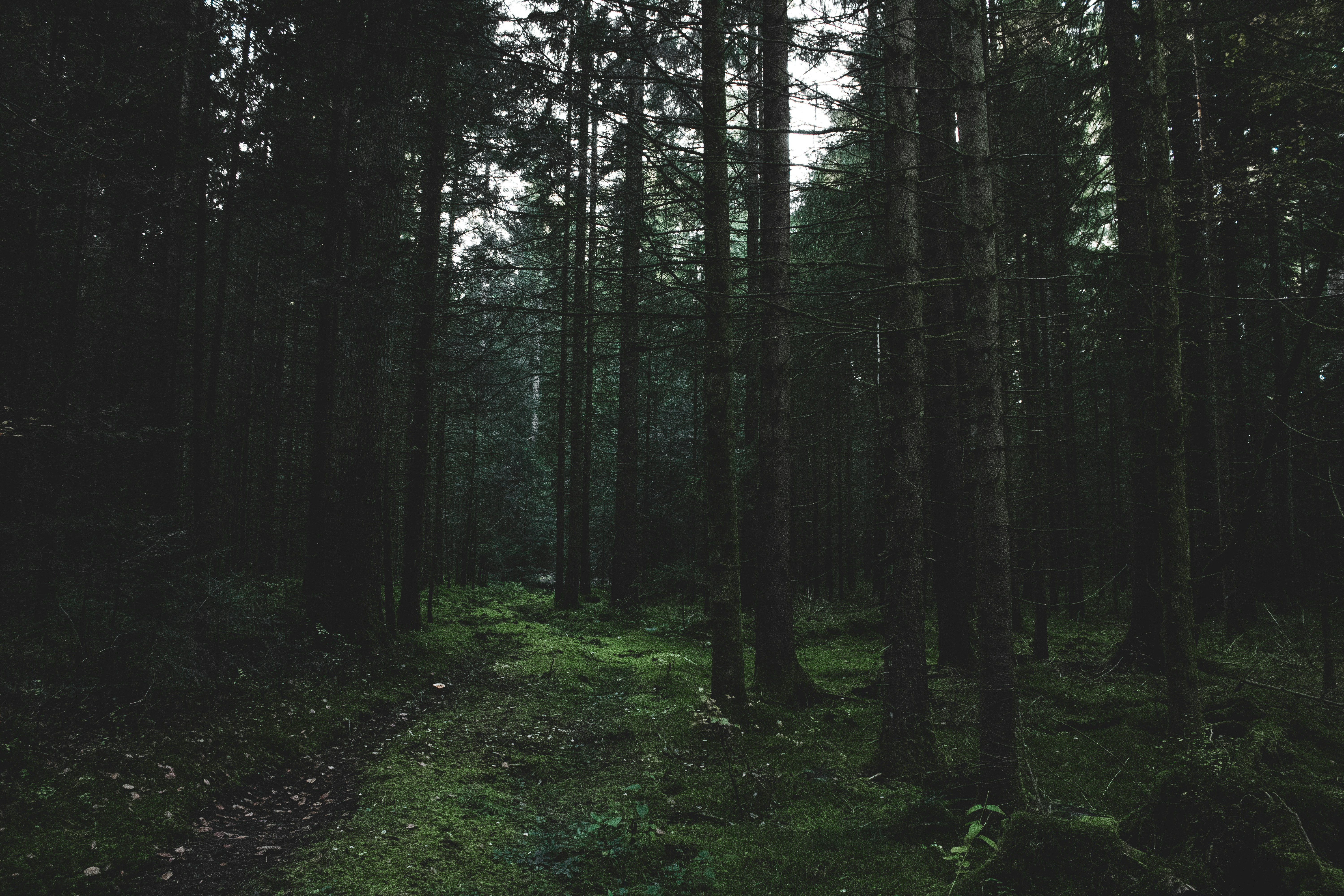 Photo by mihaelstojcevic