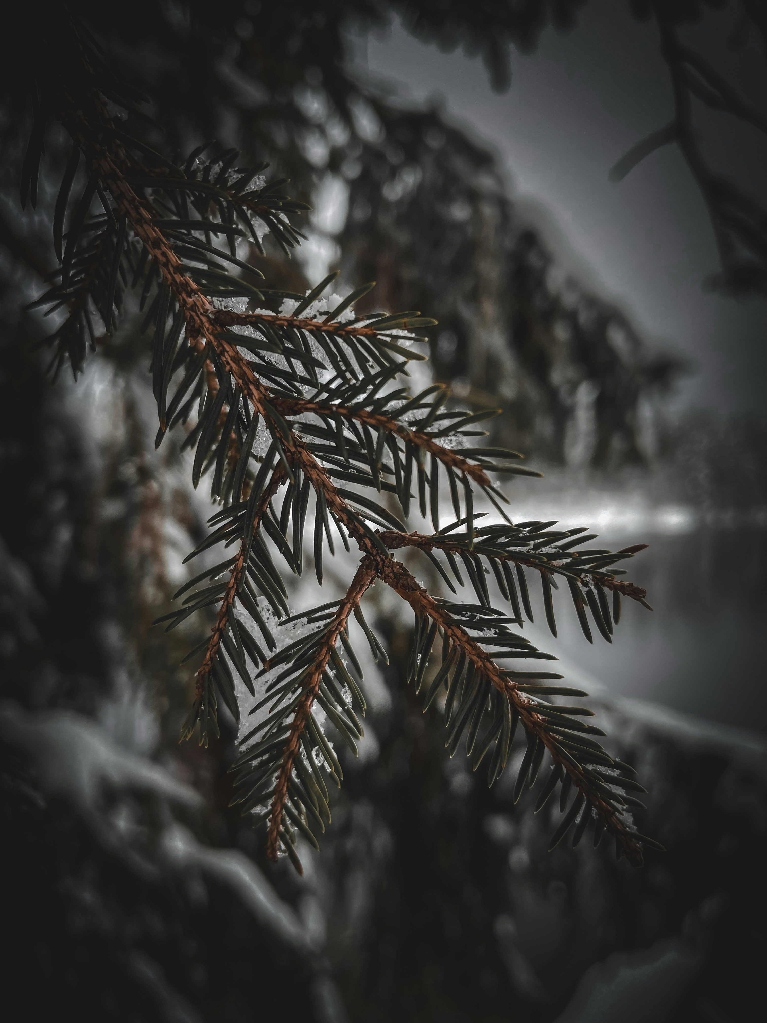 Photo by mihaelstojcevic