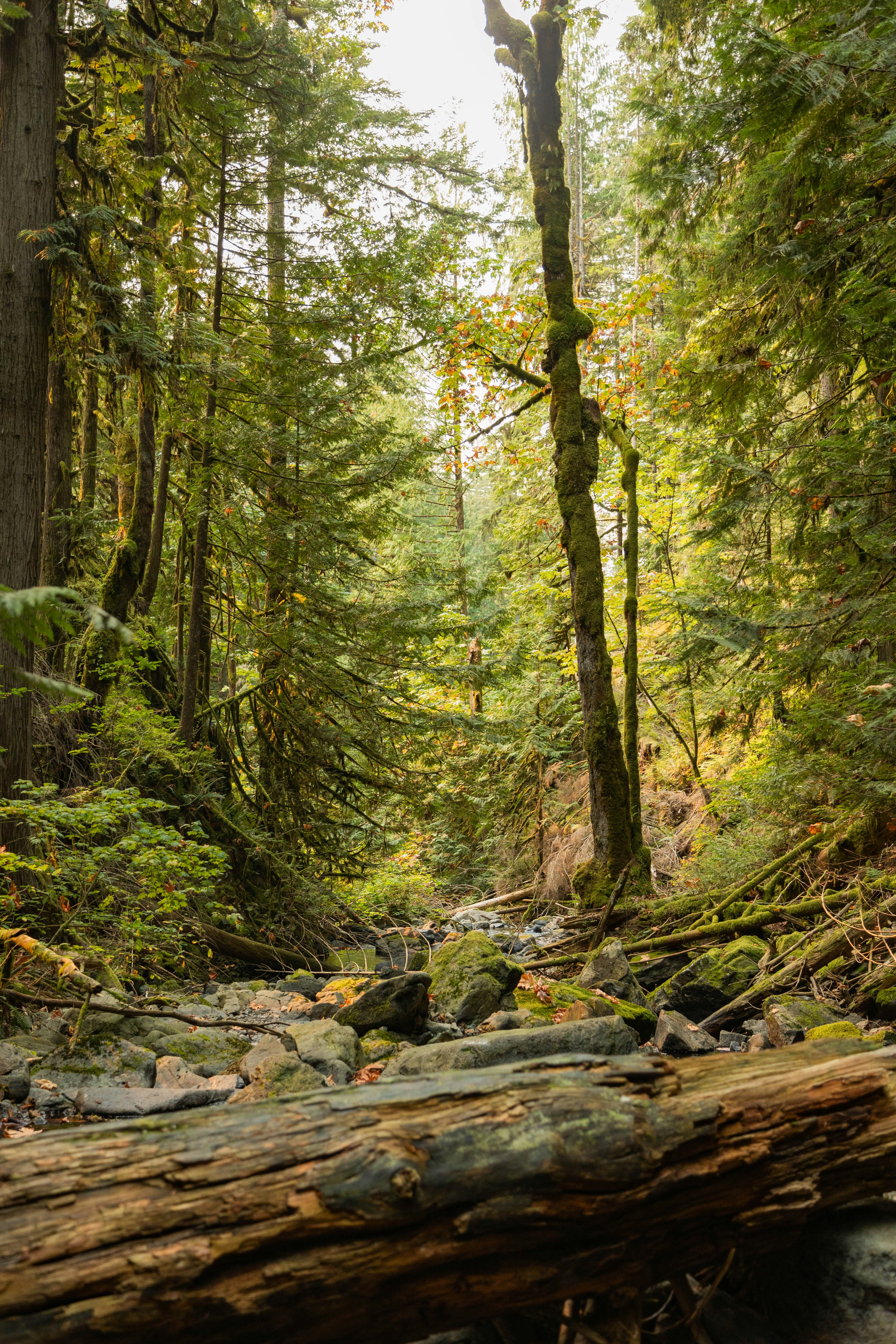 Photo by amanda_2703