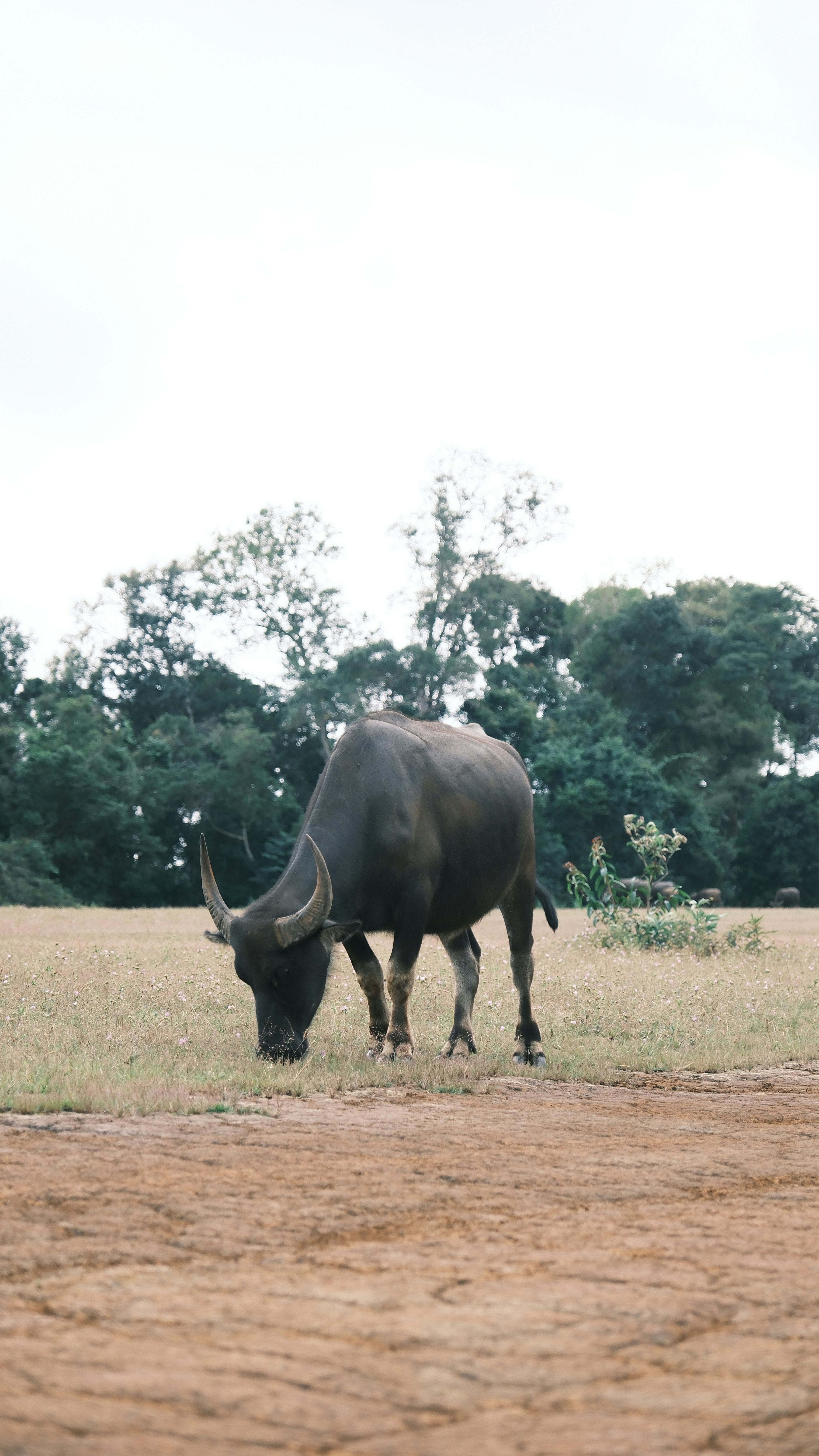 Photo by chuchu123456