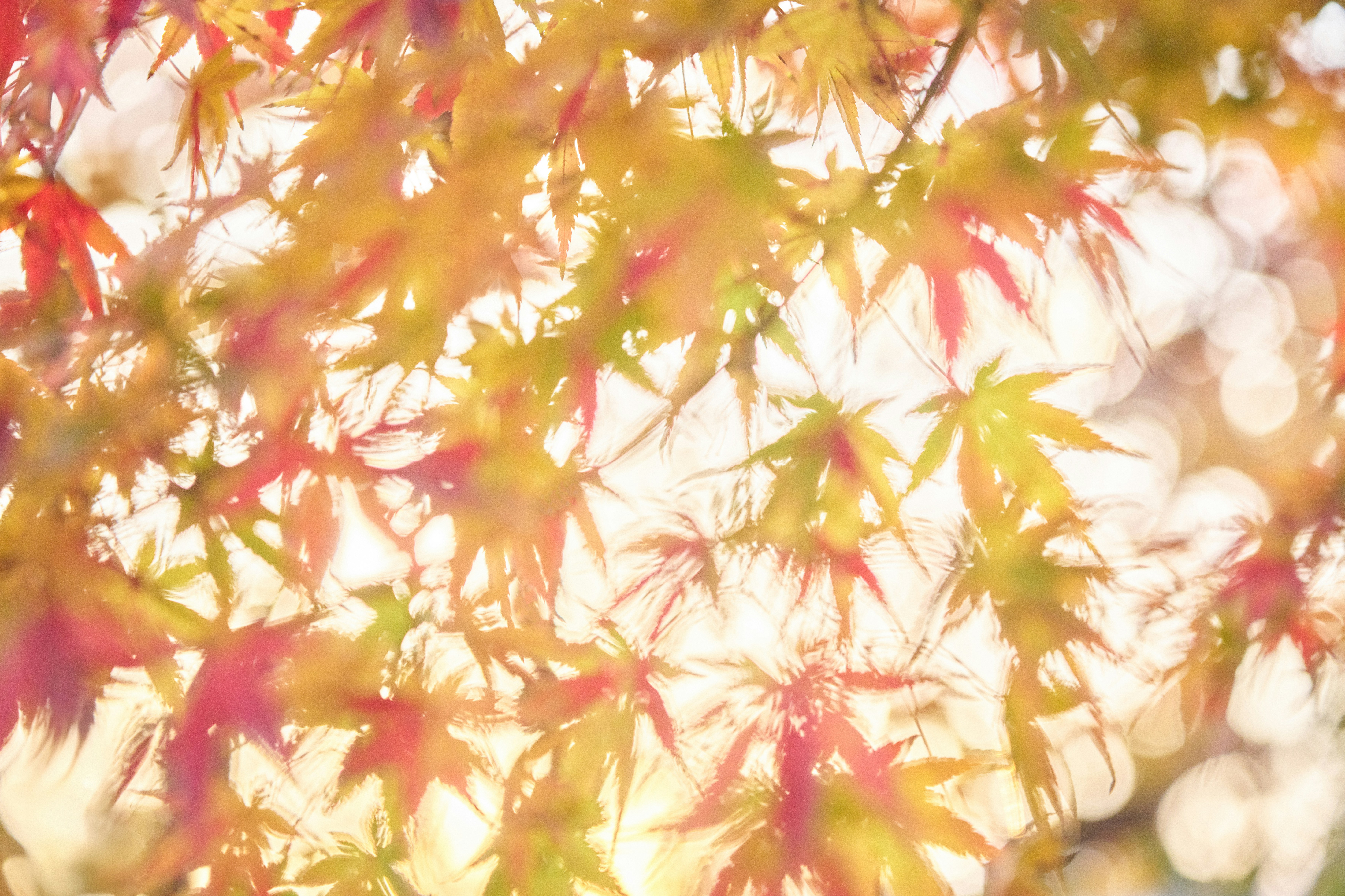 Photo by stbuddyp
