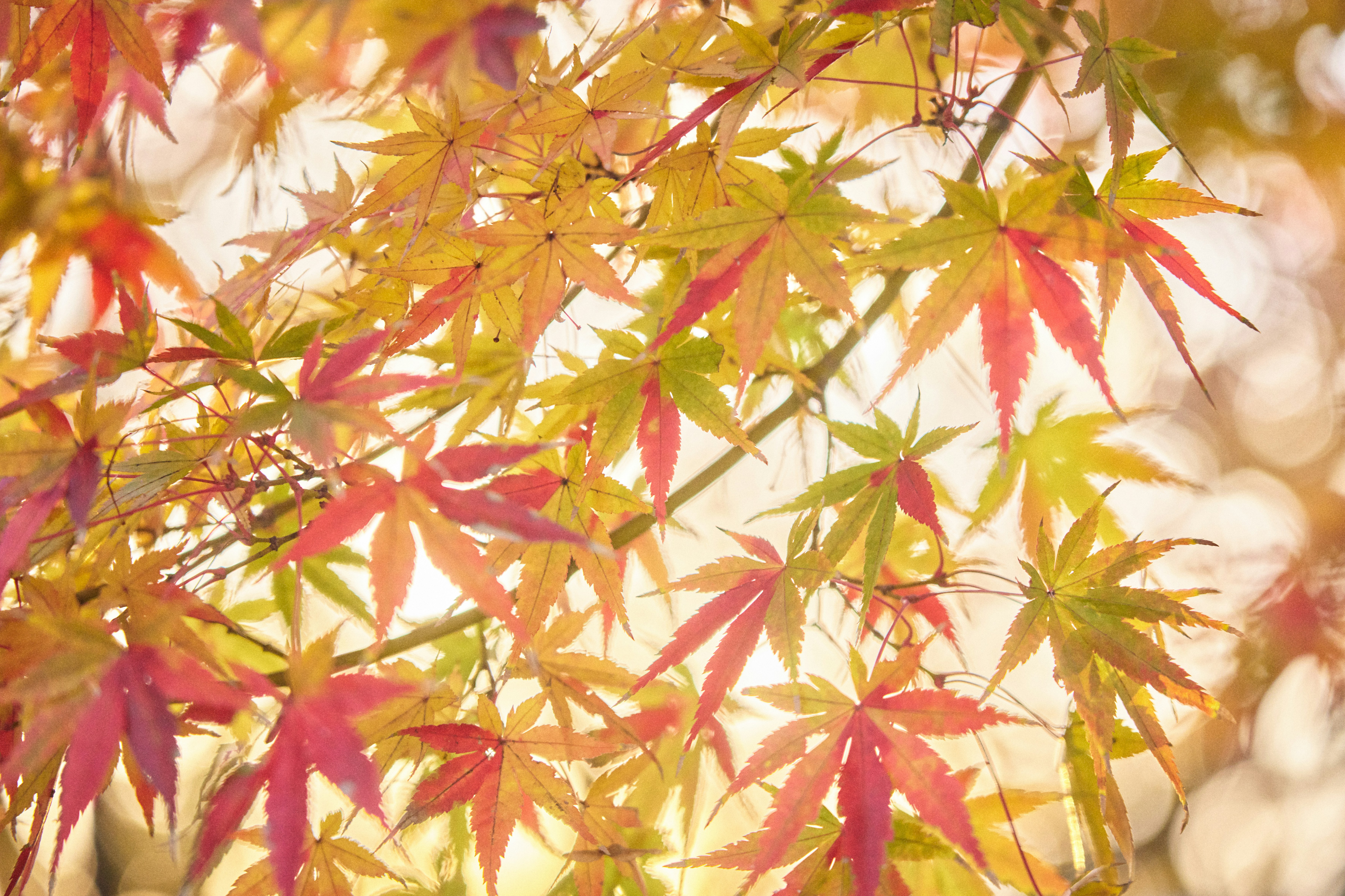 Photo by stbuddyp