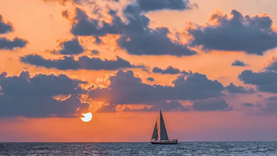Sunset dinner cruise: prime rib or island fish