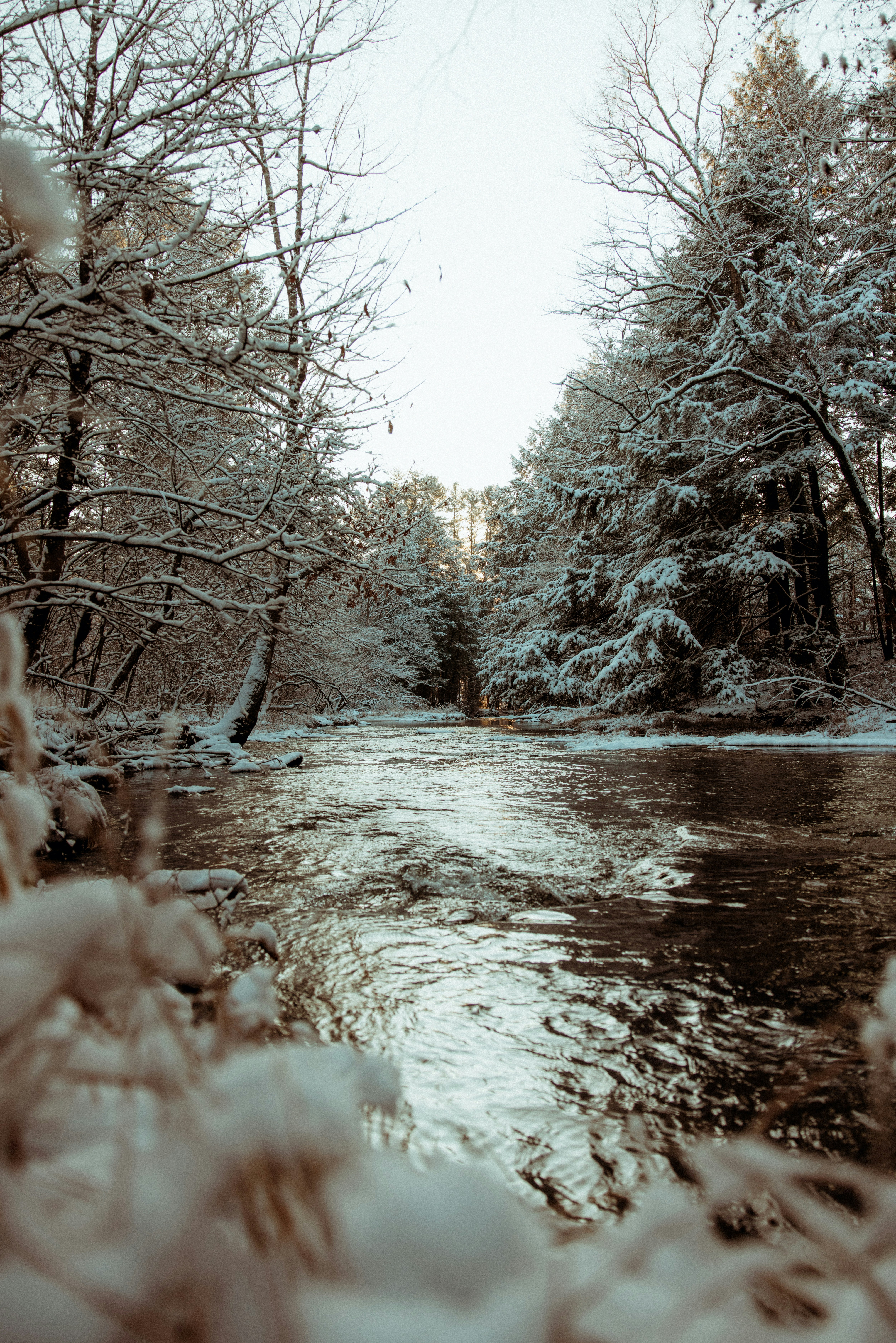 A river running through a forest covered in snow