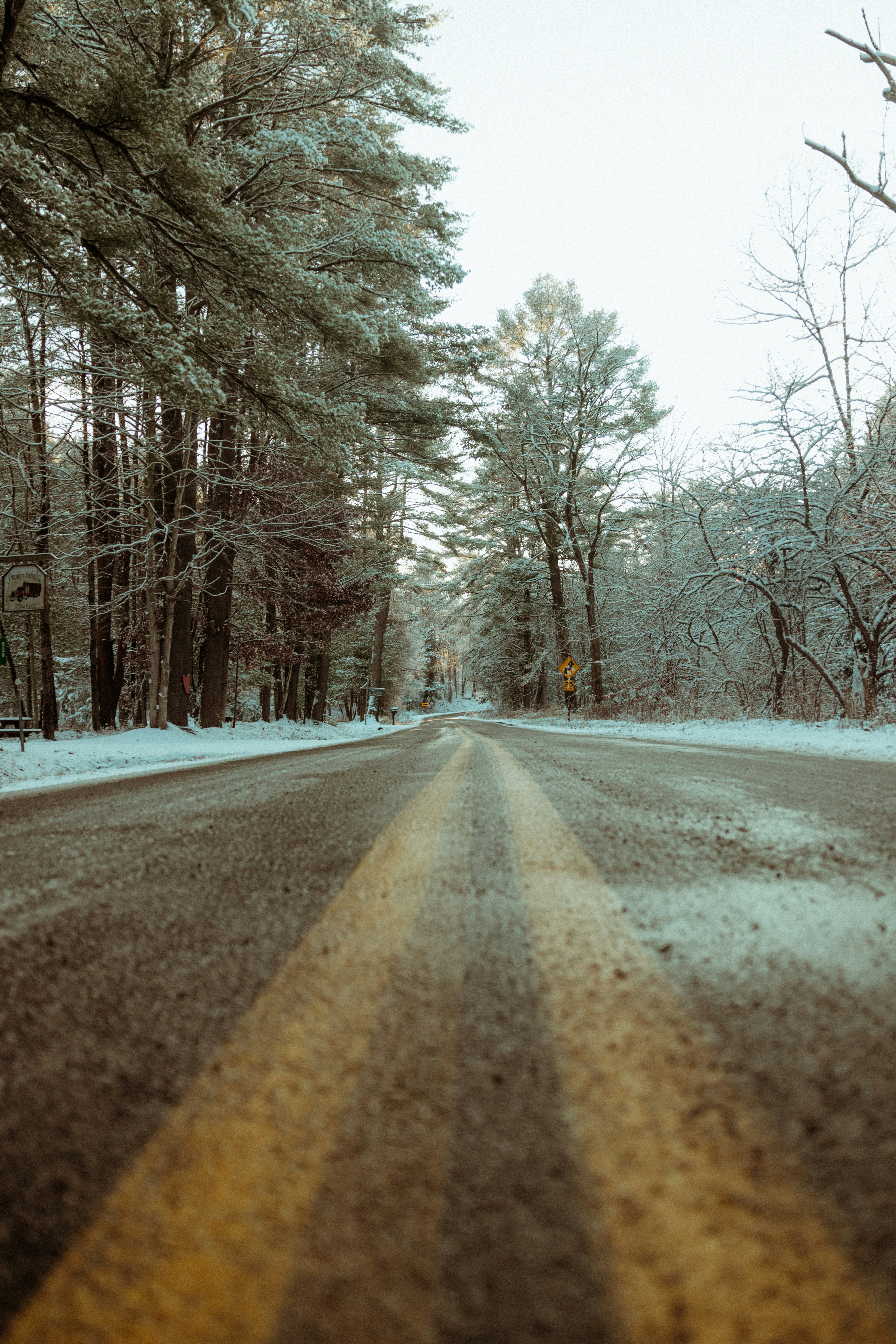 An empty road in the middle of a snowy forest