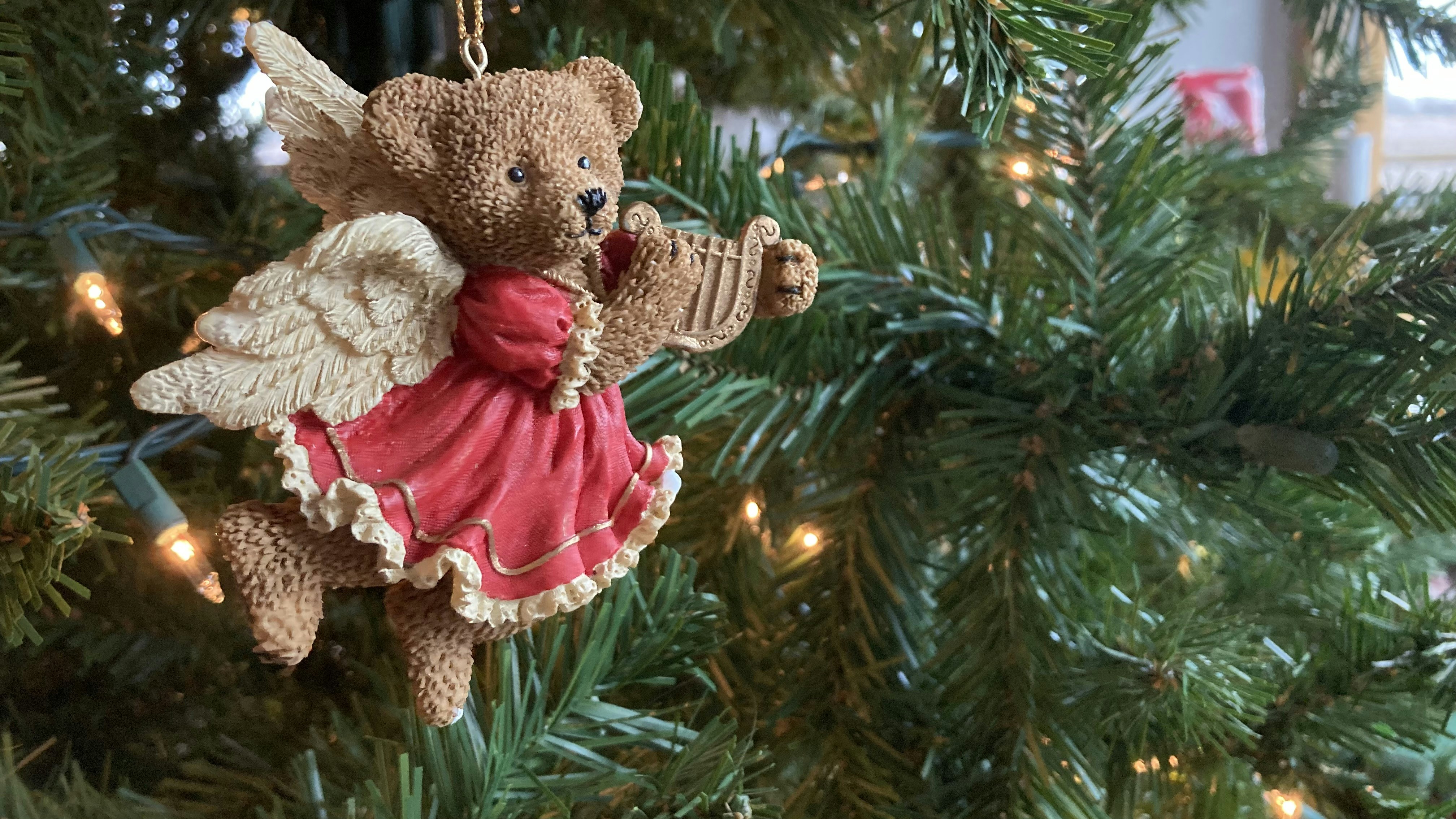 Photo by filming_co2022