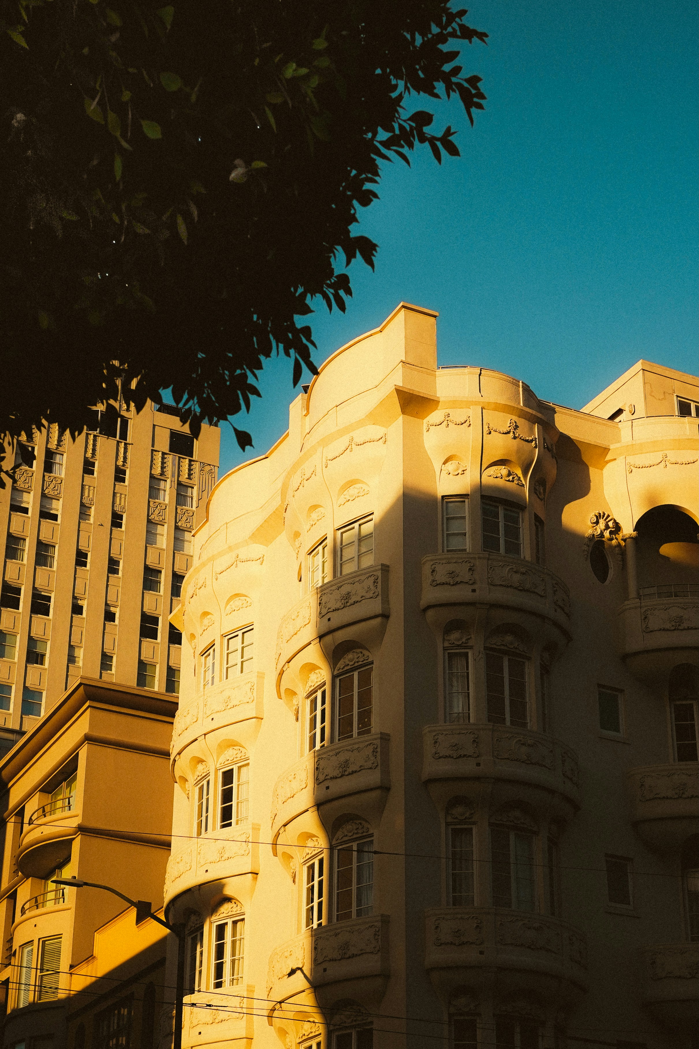 Photo by kalaniparker