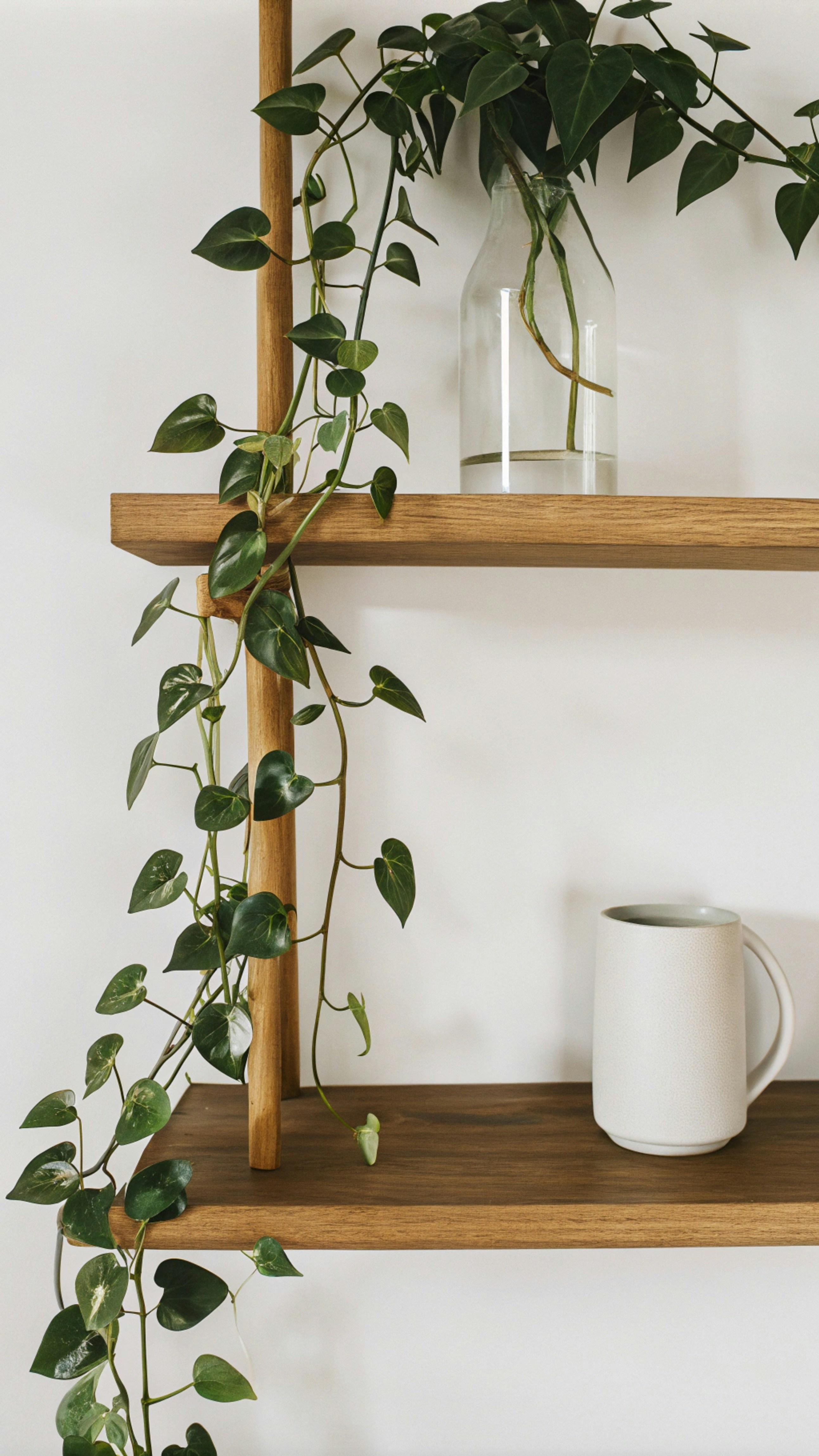 Photo by simplymersah