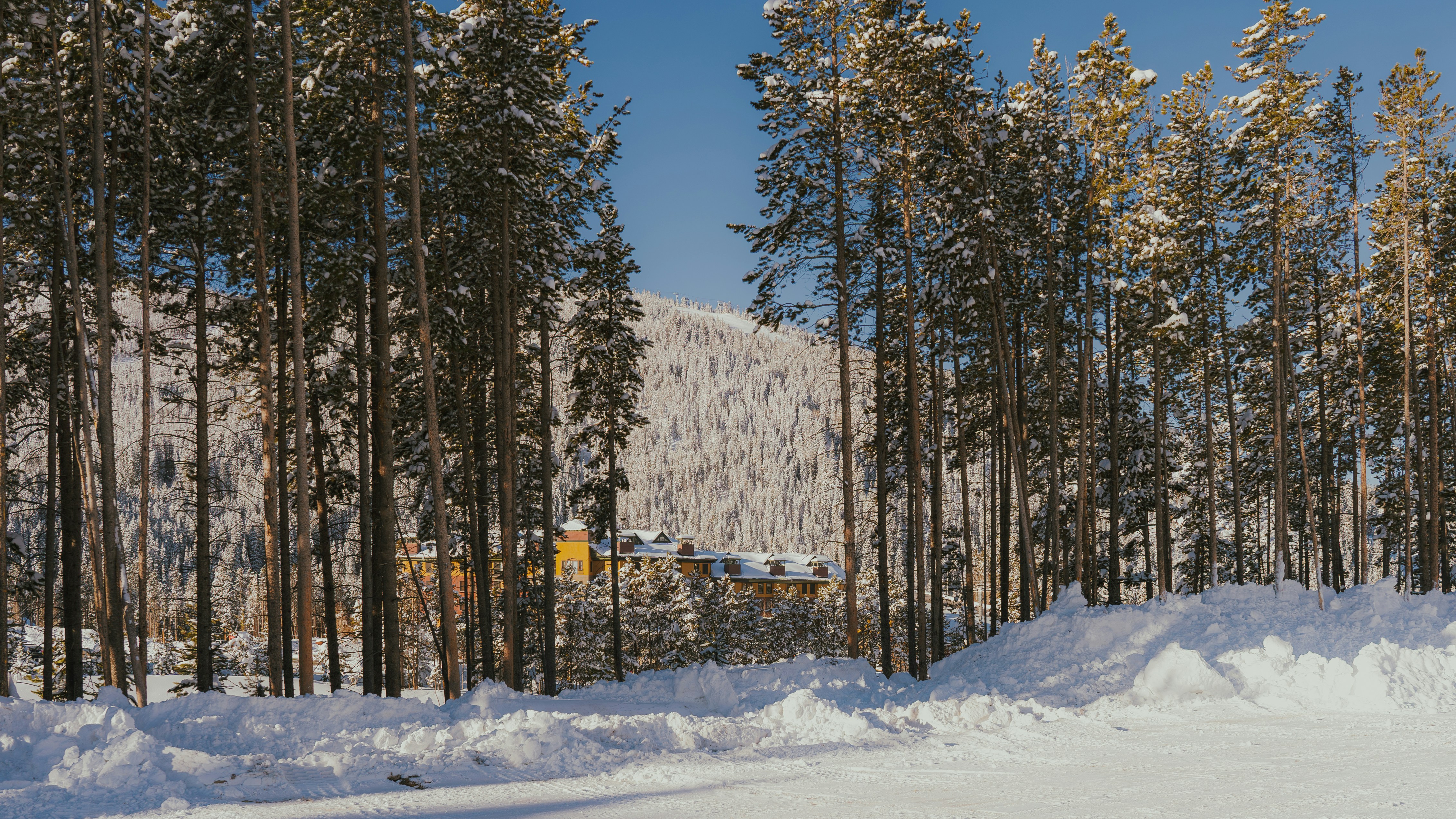 A snowboarder is going down a snowy hill