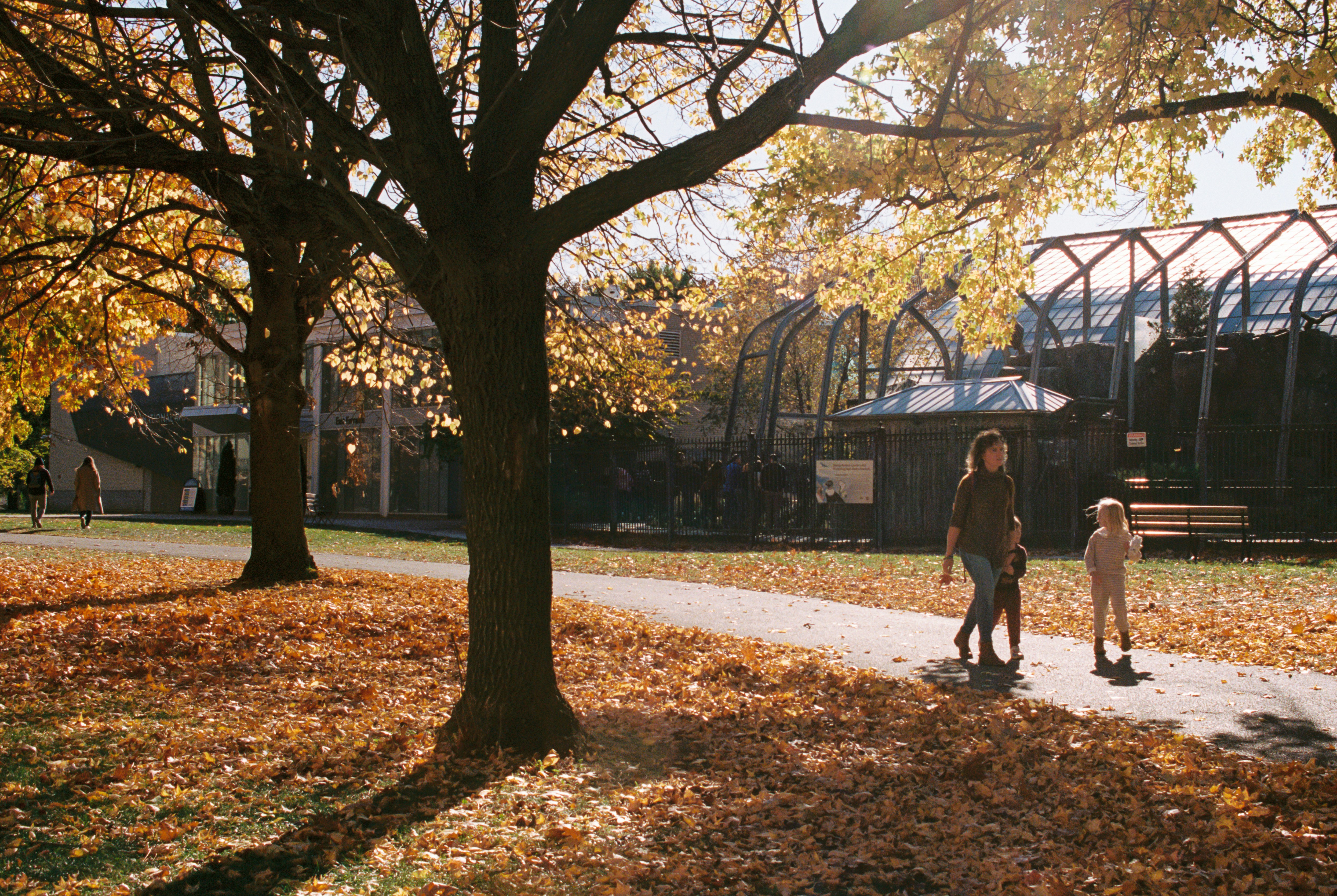 Photo by zhenyao_photo