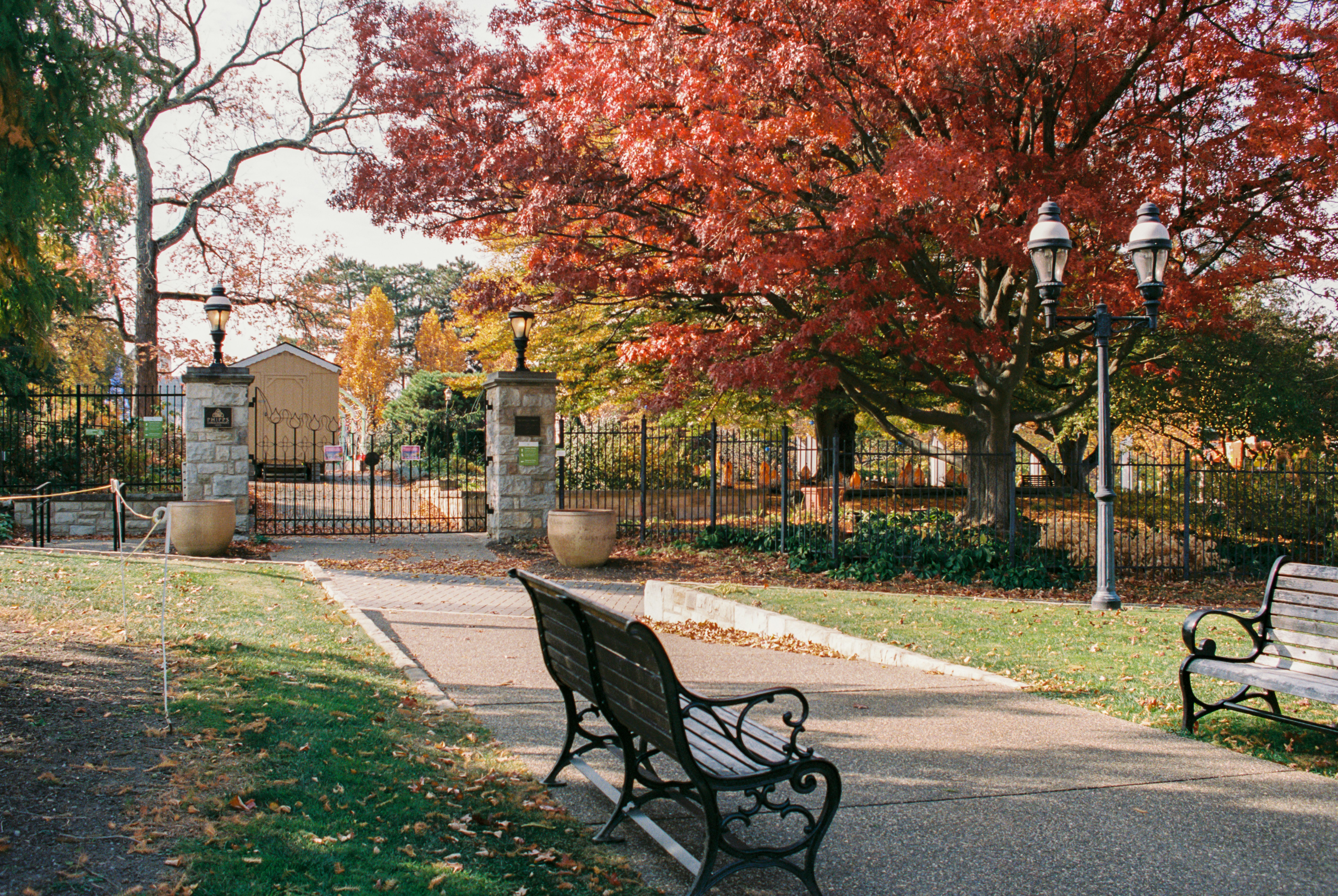 Photo by zhenyao_photo