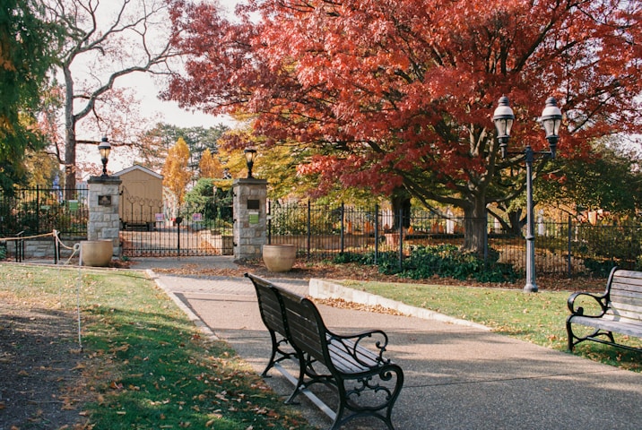 Central Connecticut State University