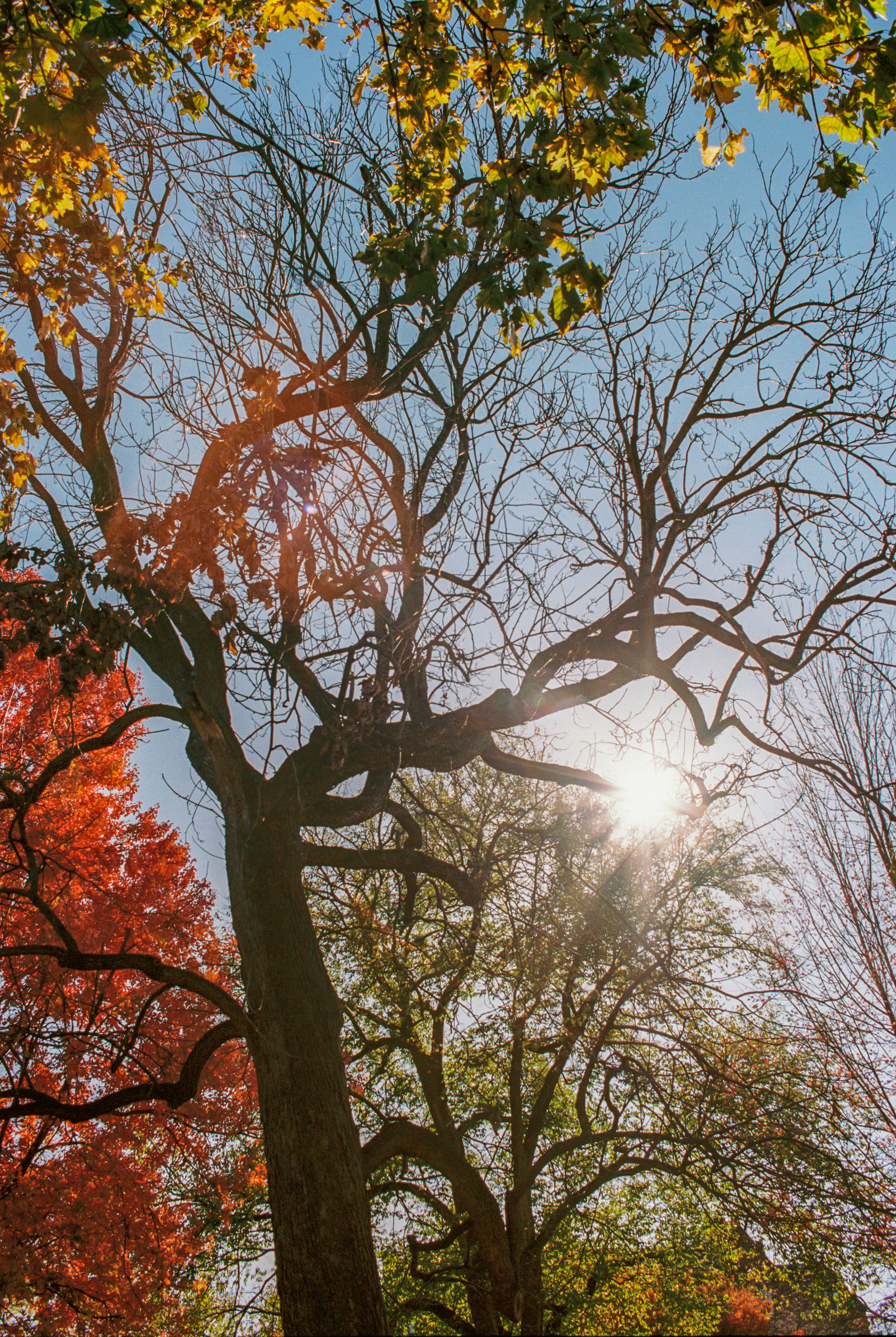 Photo by zhenyao_photo