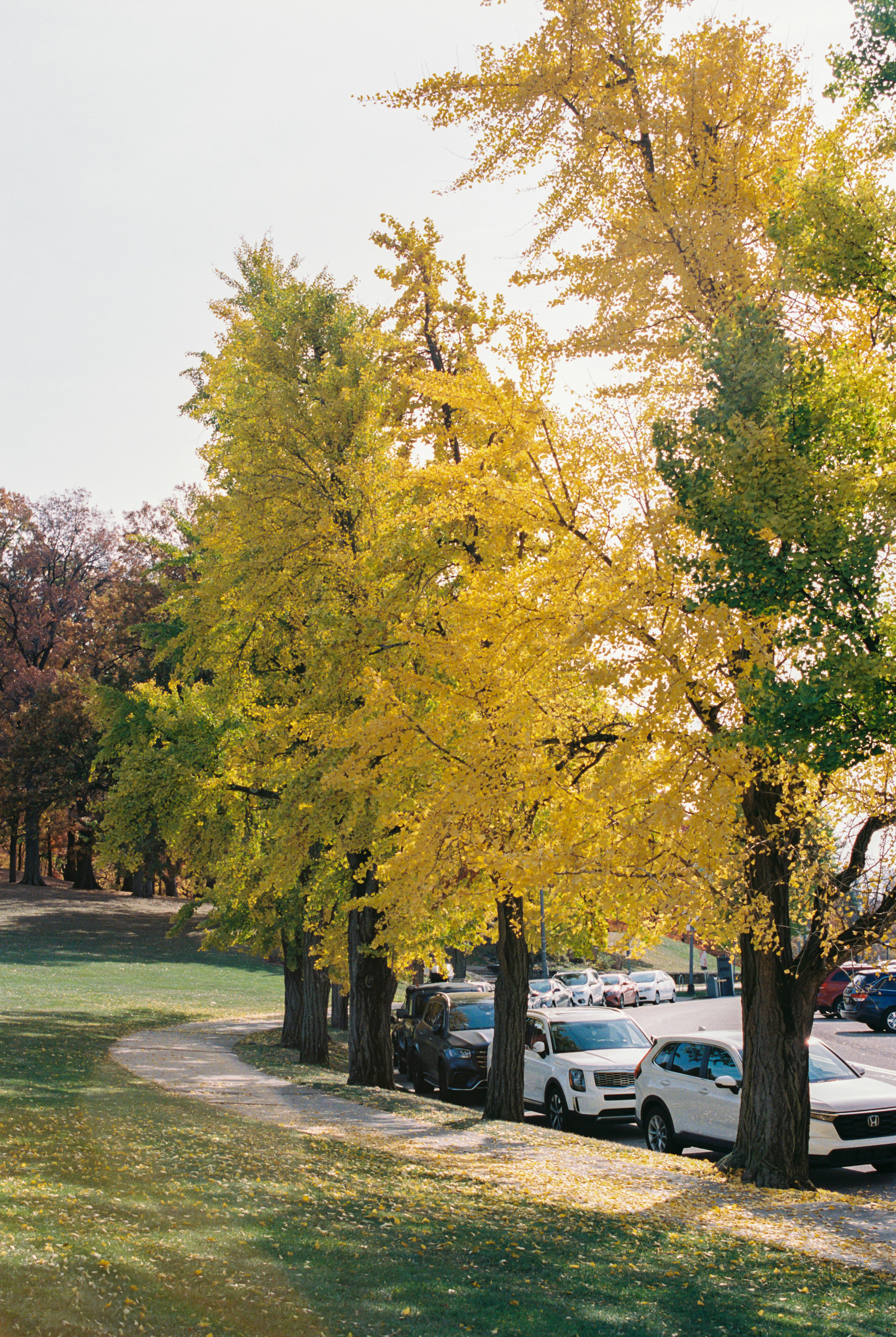 Photo by zhenyao_photo