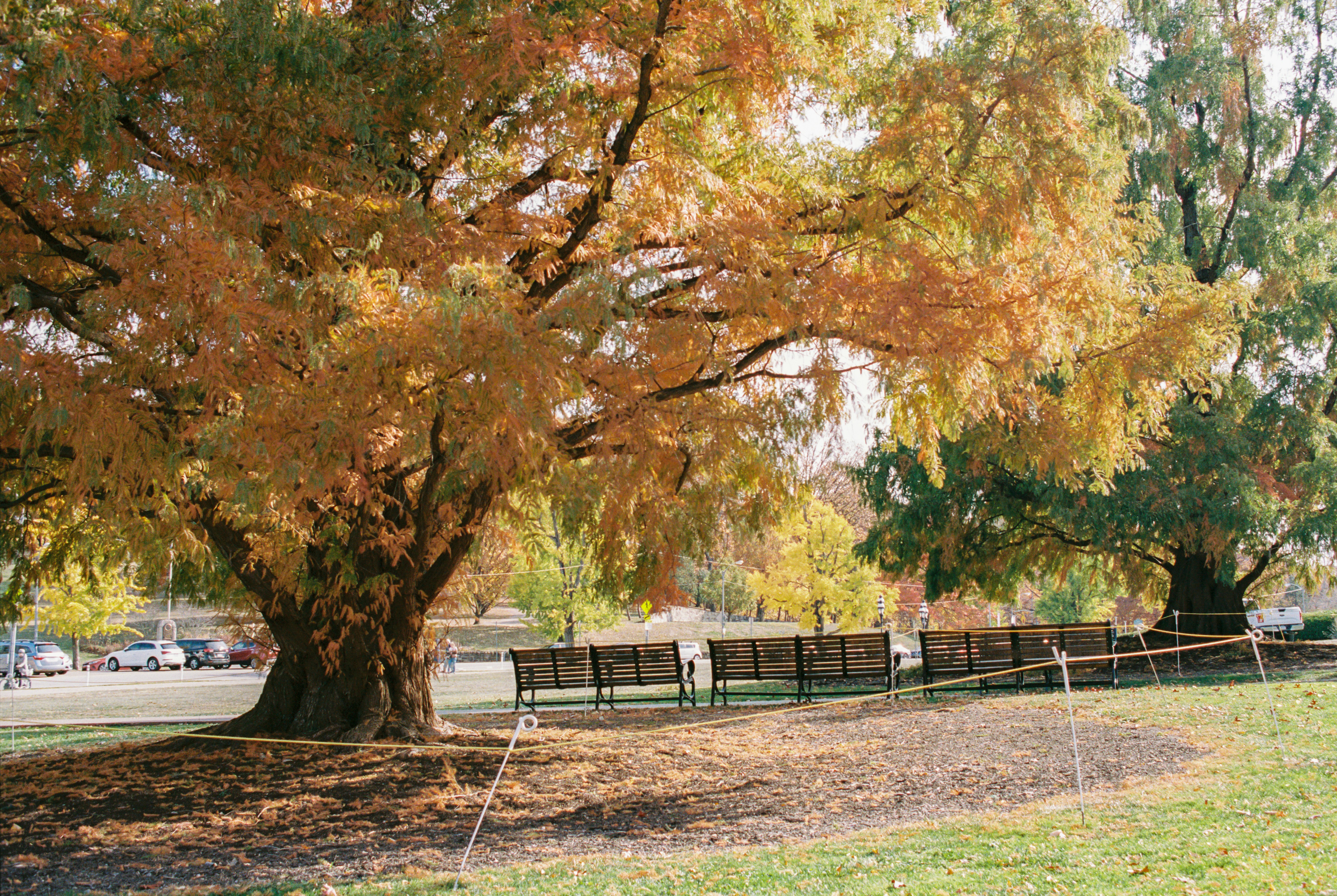 Photo by zhenyao_photo