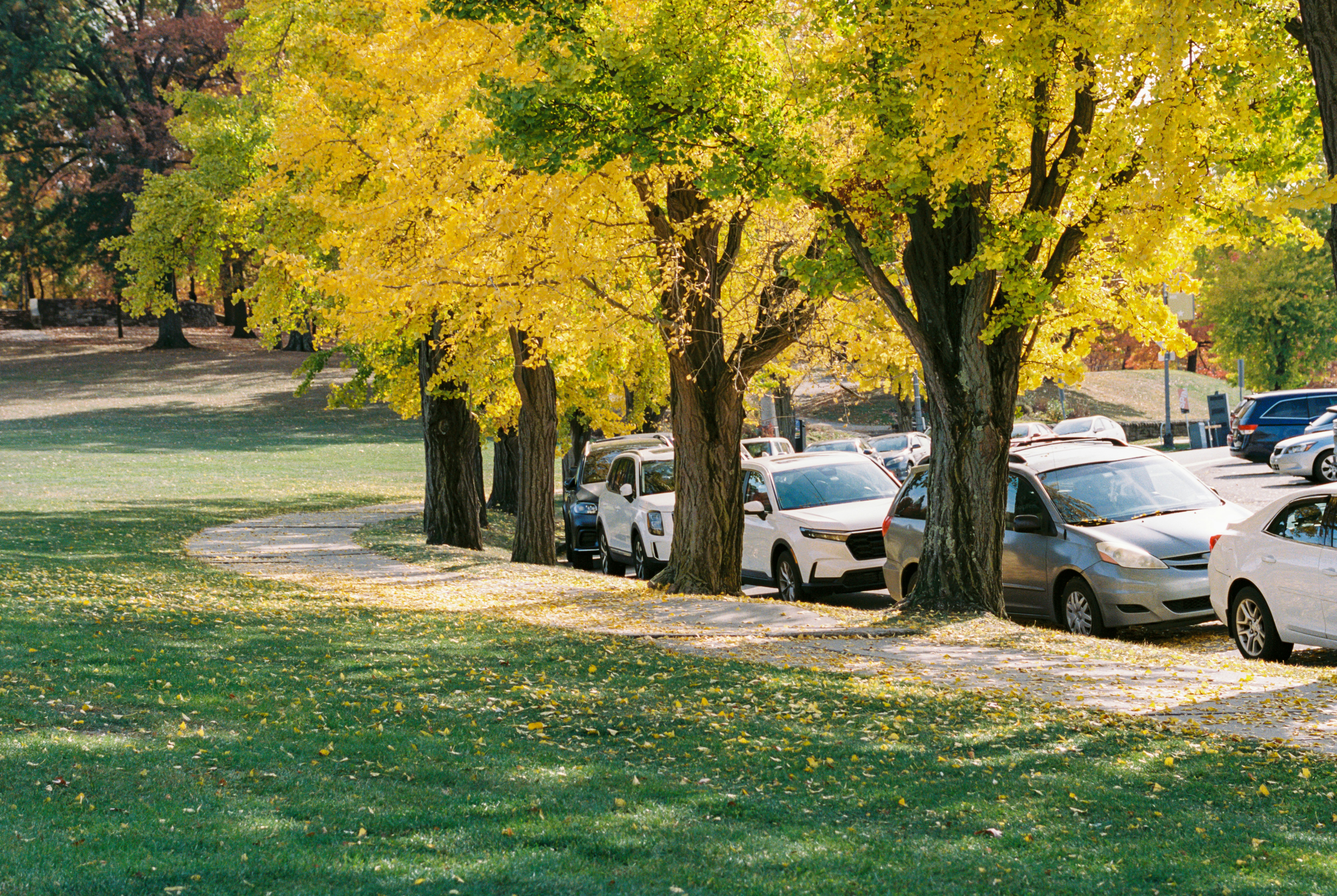 Photo by zhenyao_photo