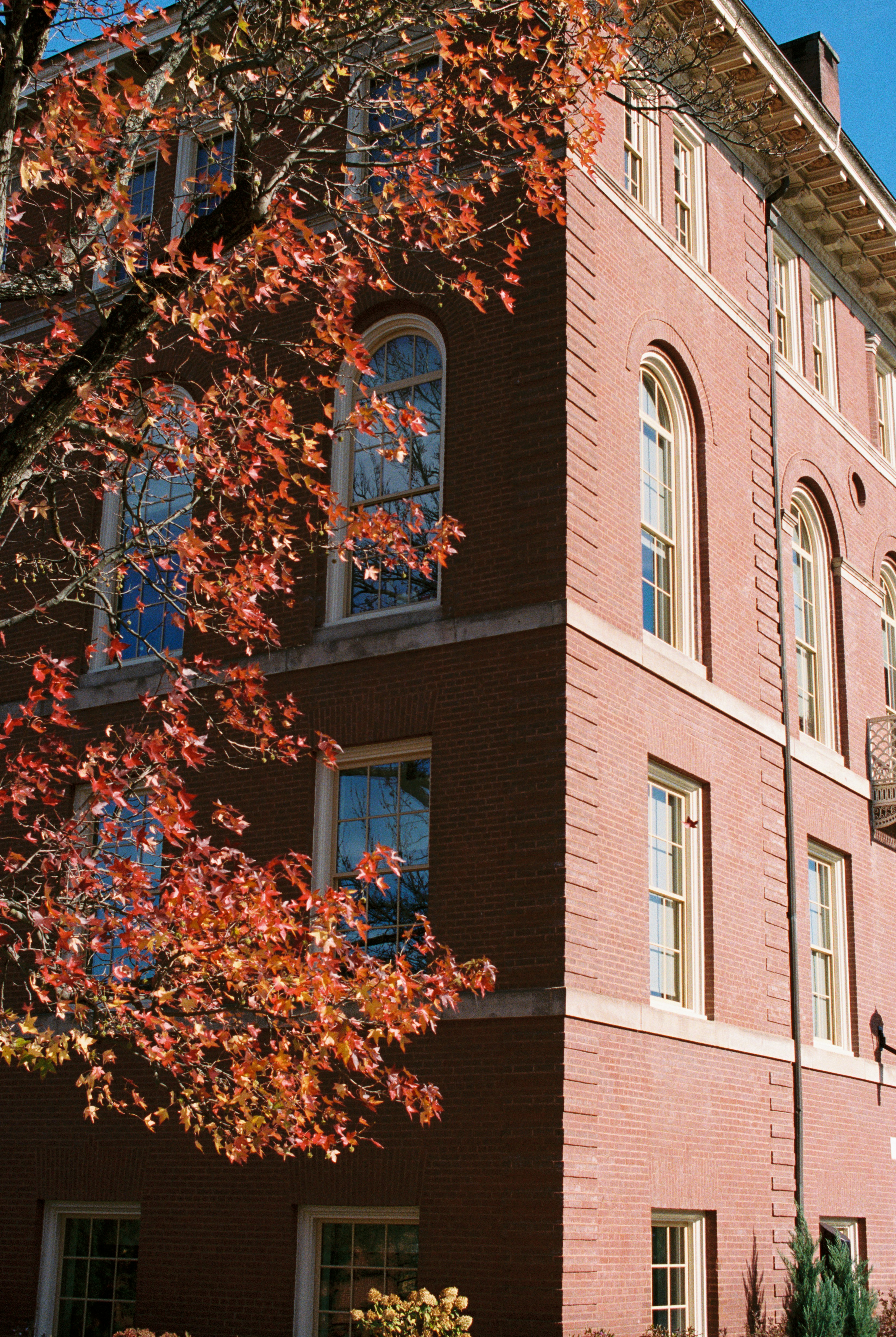 Photo by zhenyao_photo