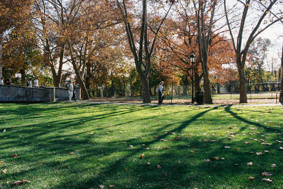 The image depicts a serene park scene with a lush green lawn, trees displaying vibrant autumn colors, and people enjoying their time outdoors. A person is walking on the grass near a tree, while another individual stands under a street lamp in the background. The clear blue sky suggests pleasant weather conditions for outdoor activities.